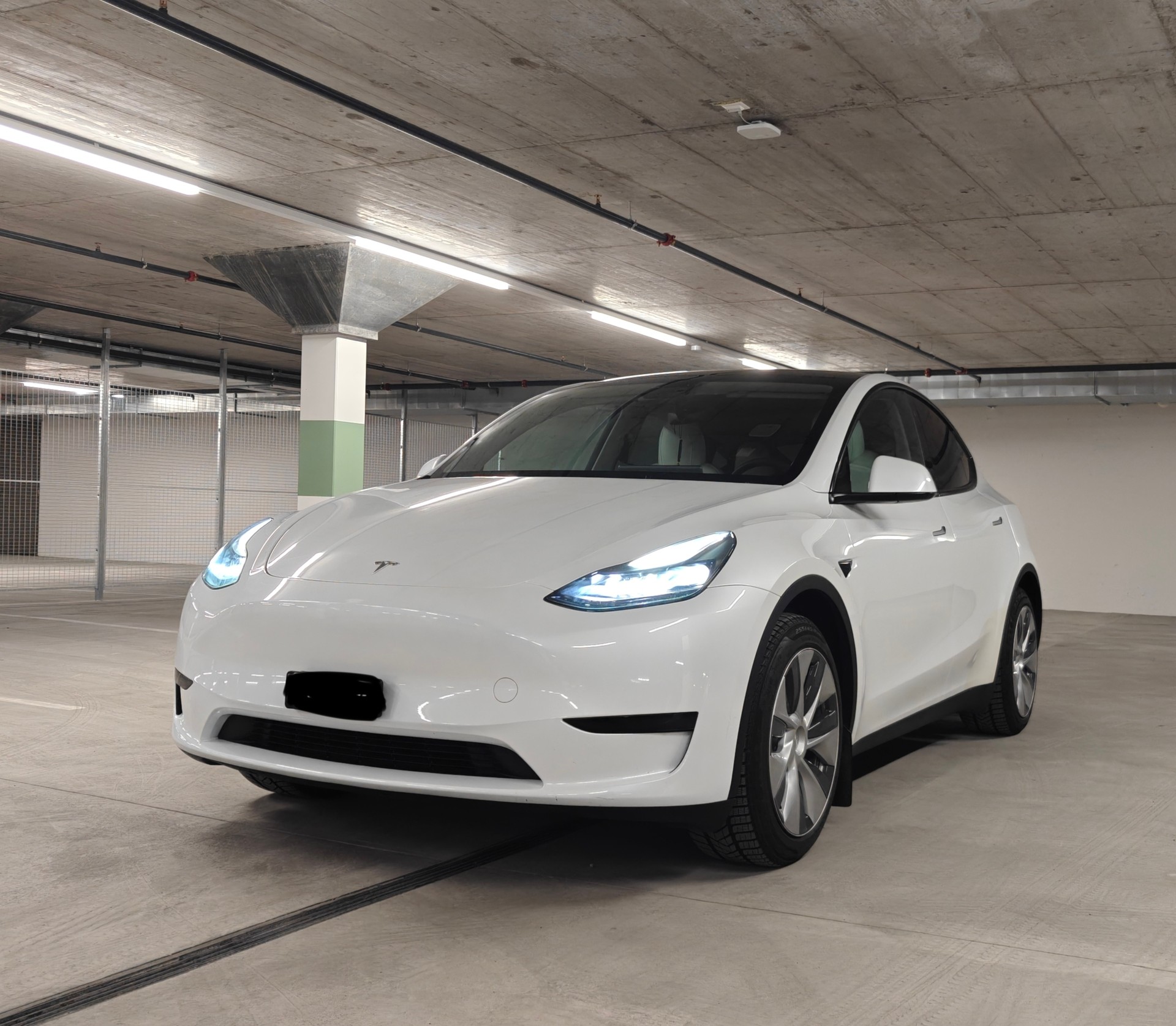 TESLA Model Y RWD-image-0