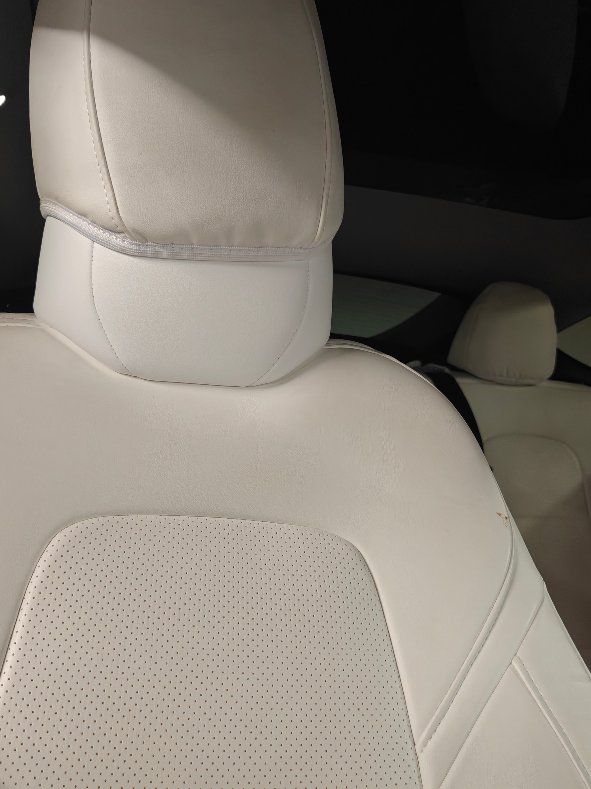 TESLA Model Y RWD-image-2