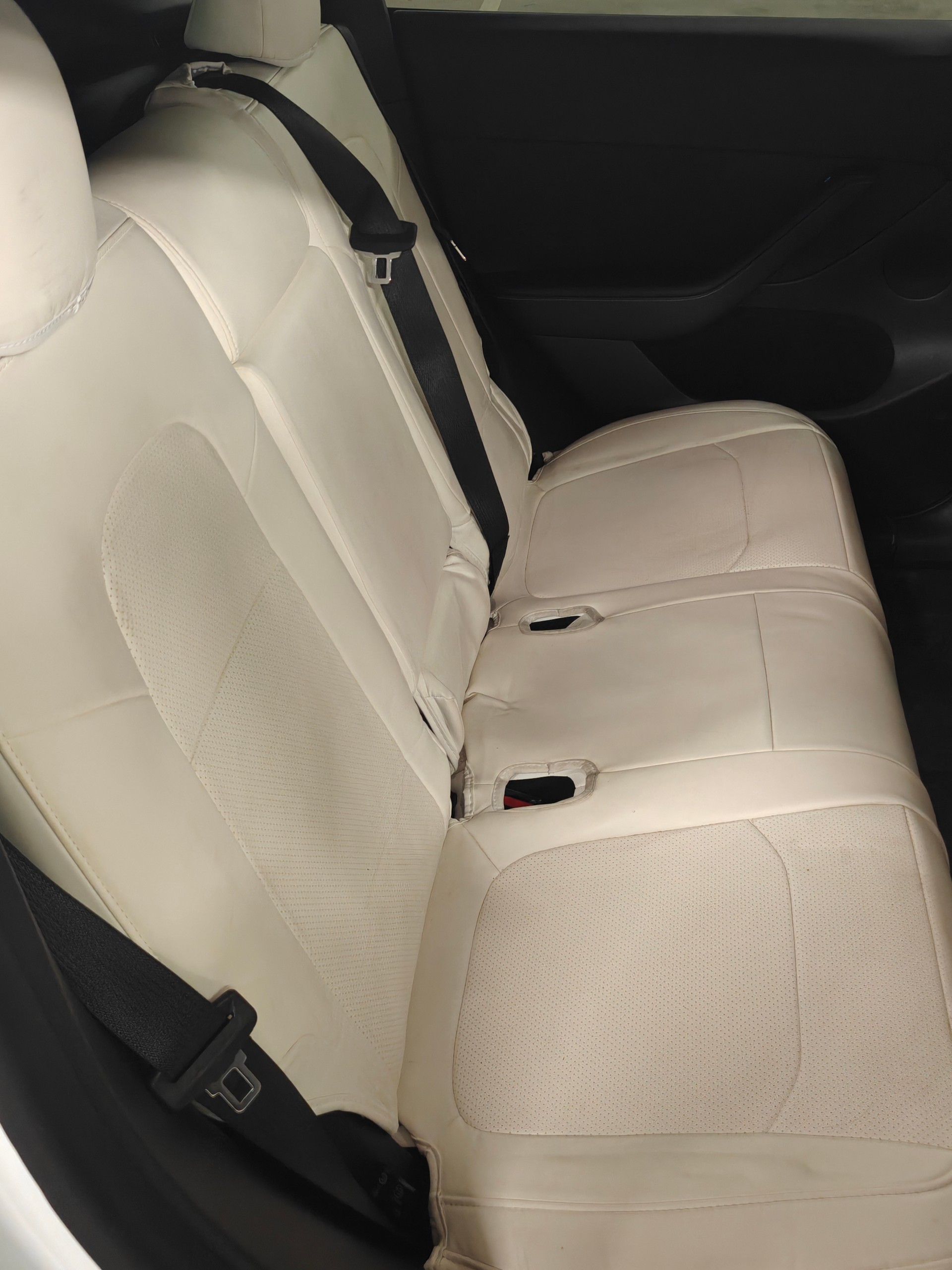 TESLA Model Y RWD-image-5