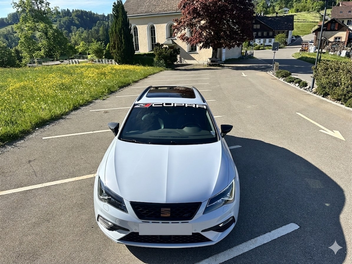 SEAT 2.0 TSI 300 Cupra 4Drive DSG-image-0