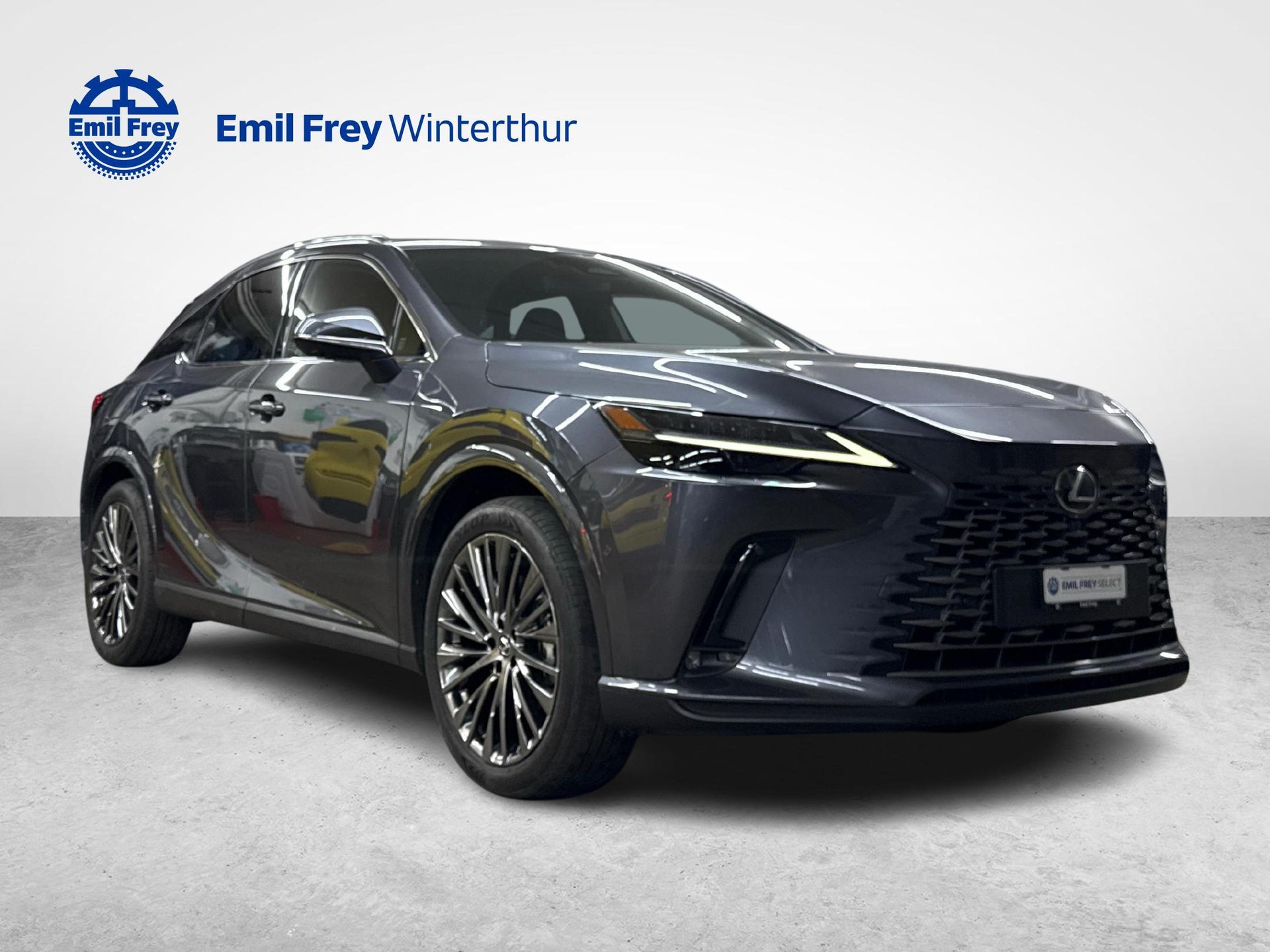 LEXUS RX 450h+ Excellence-image-6