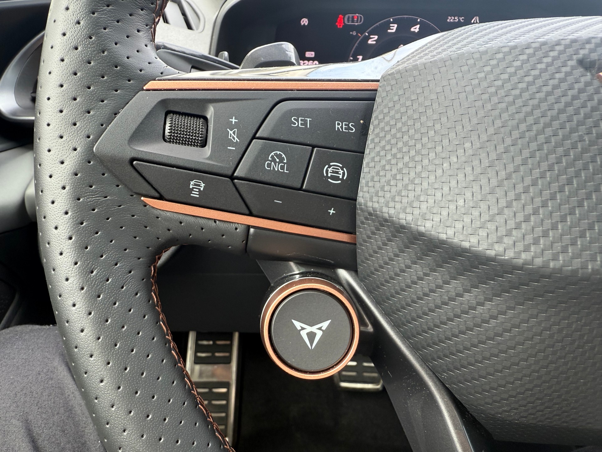 CUPRA Terramar 2.0 TSI VZ 4Drive DSG * 20 ZOLL * PANORAMA *-image-15