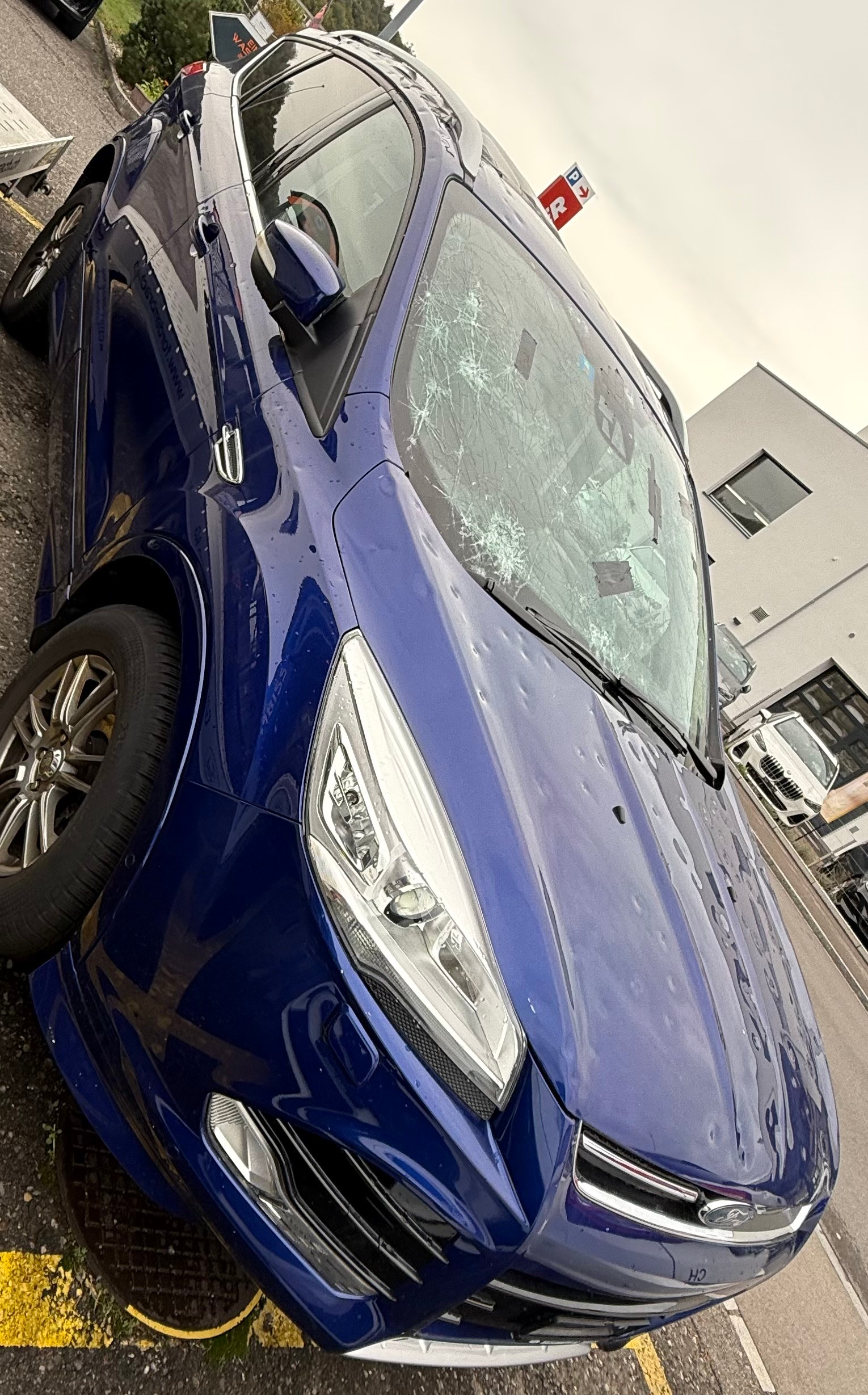FORD Kuga 2.0 TDCi Freetech 4WD-image-7