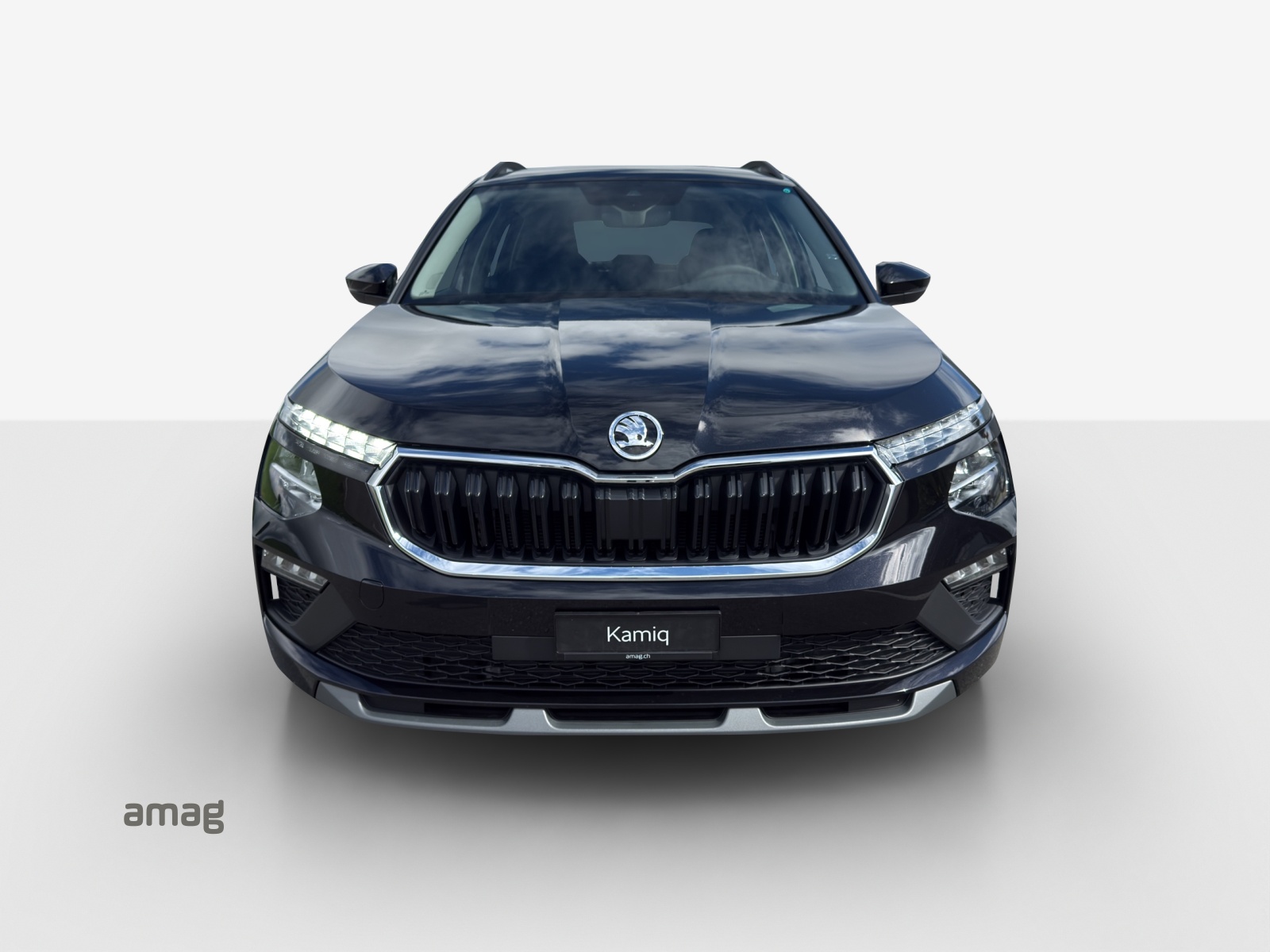 SKODA Dynamic-image-6