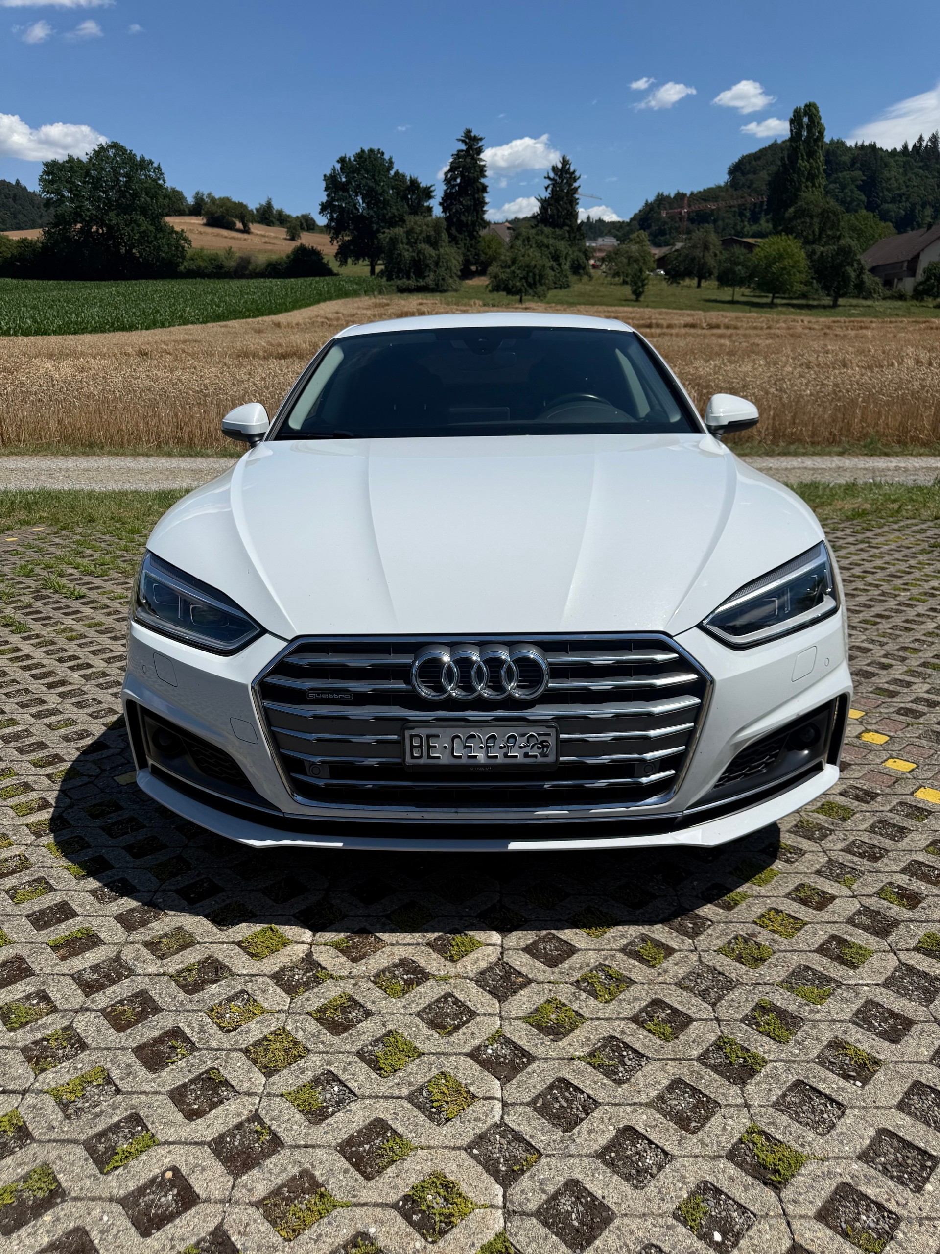 AUDI 2.0 TDI Sport quattro S-Tronic-image-1