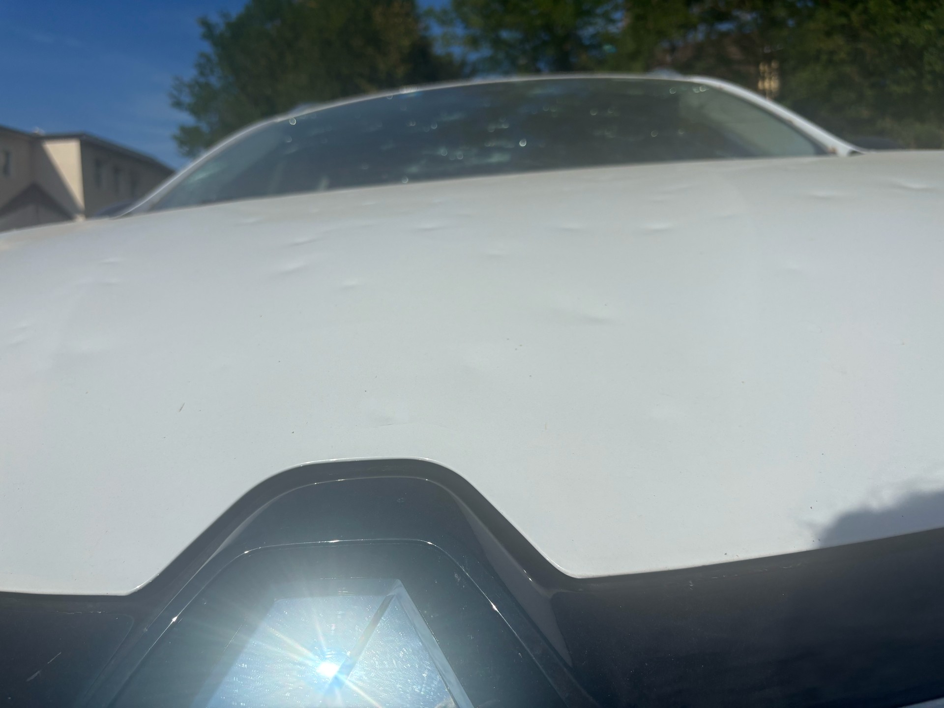 RENAULT Mégane Grandtour 1.5 dCi Techno EDC-image-13