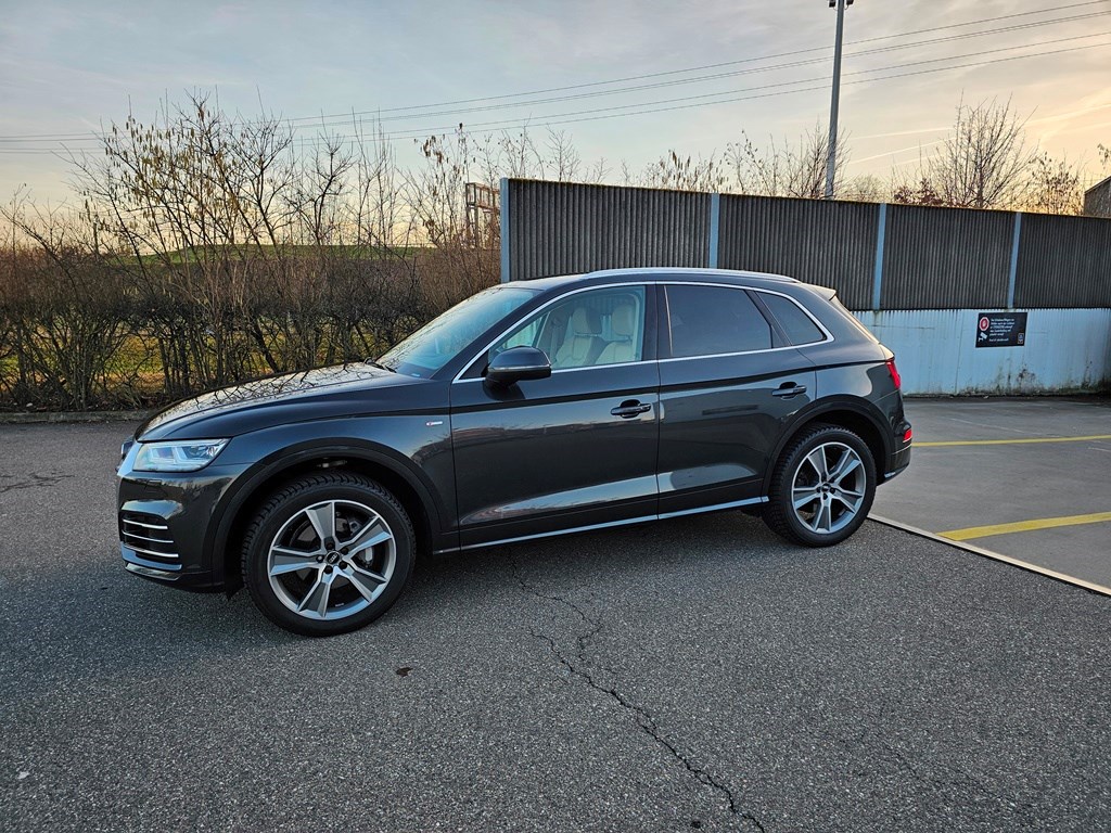 AUDI Q5 2.0 TDI 190 Sport quat. S-Tr.-showroom-element-2