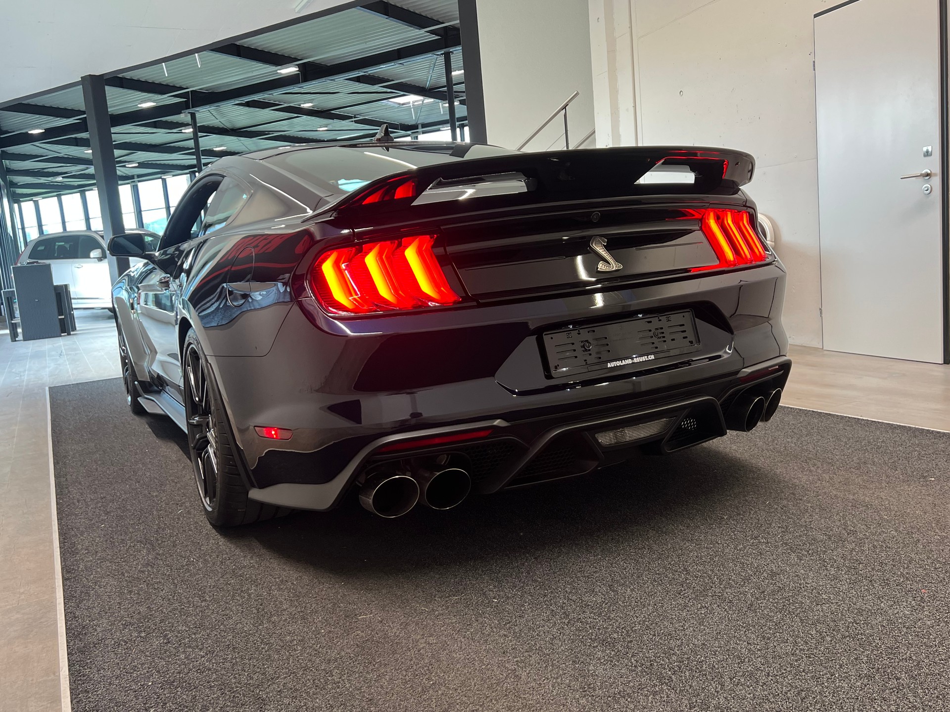 FORD Shelby GT 500-image-7