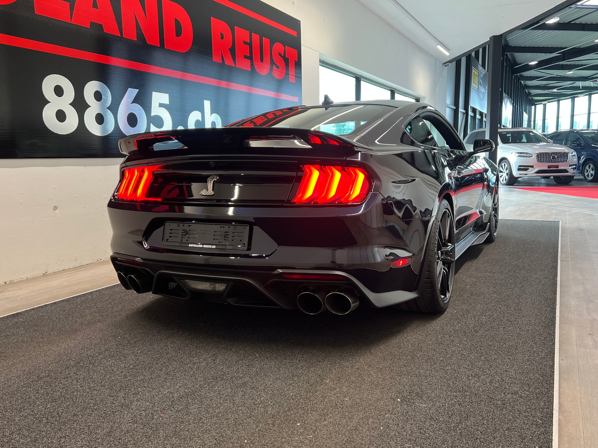 FORD Shelby GT 500-image-6