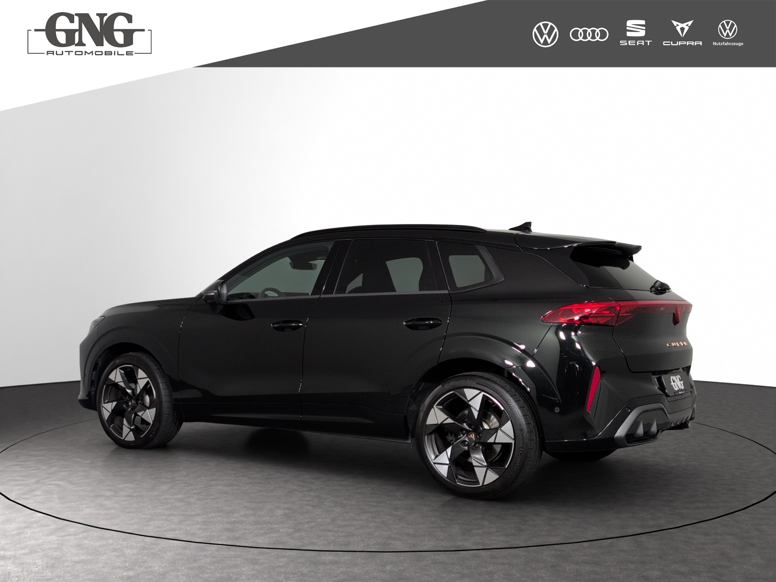 CUPRA Terramar 2.0 TSI DSG 4Drive Americas CUP-image-1