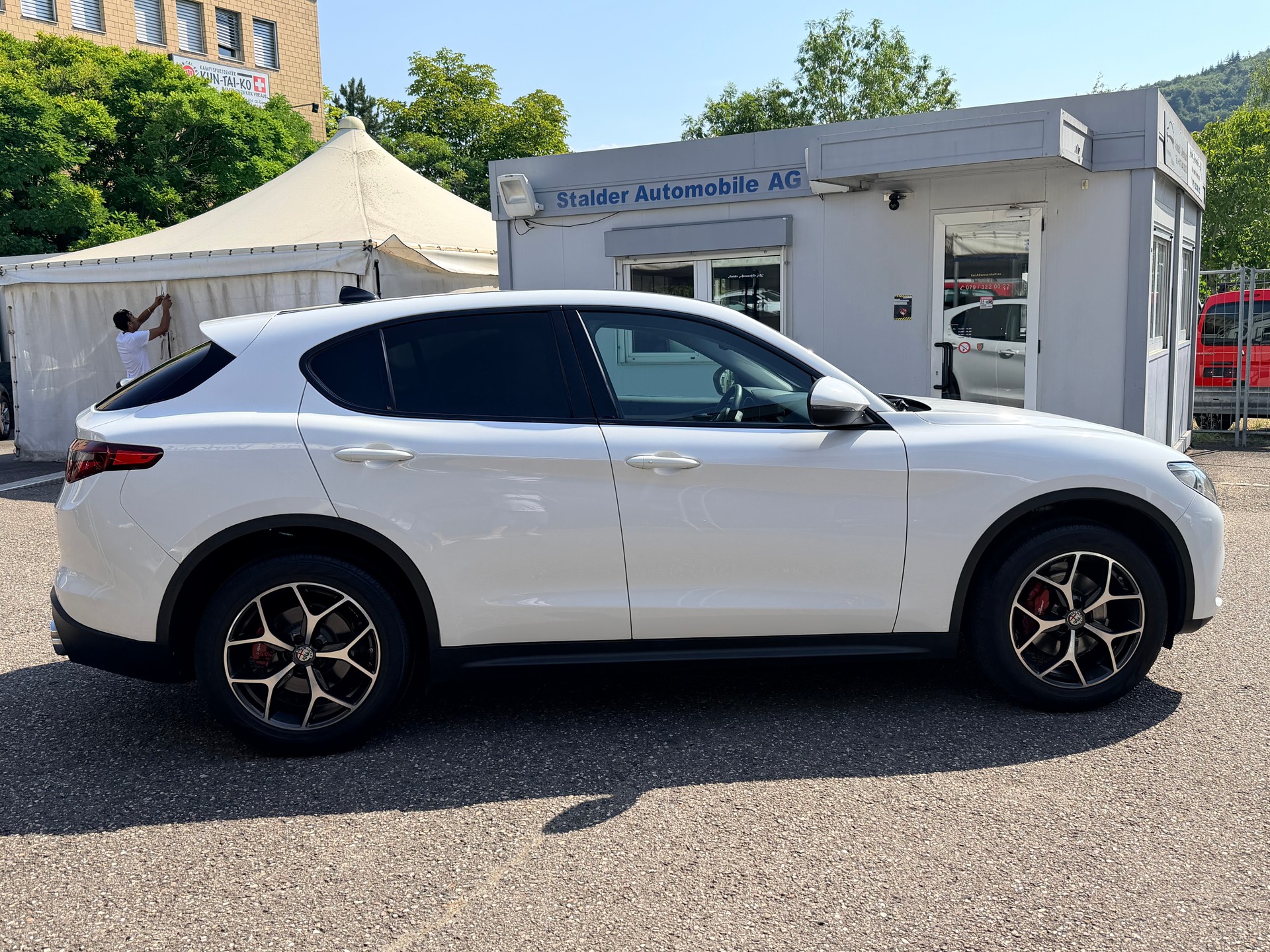 ALFA ROMEO Stelvio 2.0 Executive Q4 Automatic-image-1