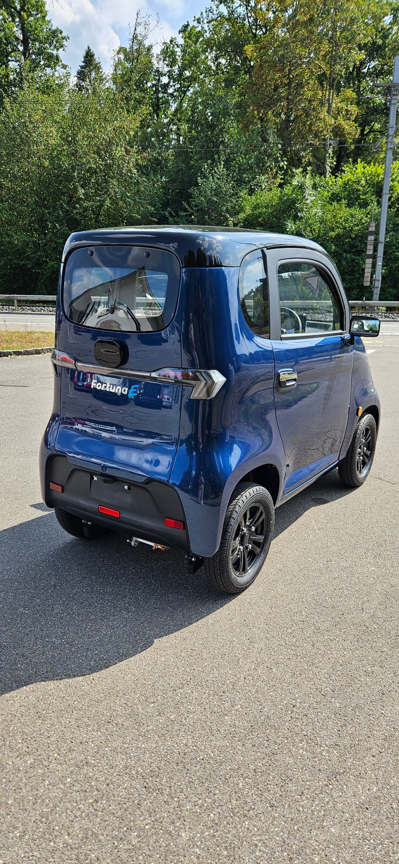 FULU Micar T1 !!Führerscheinbefreit bis 20kmh!! (Mit Lithium-Batterien!)-image-5
