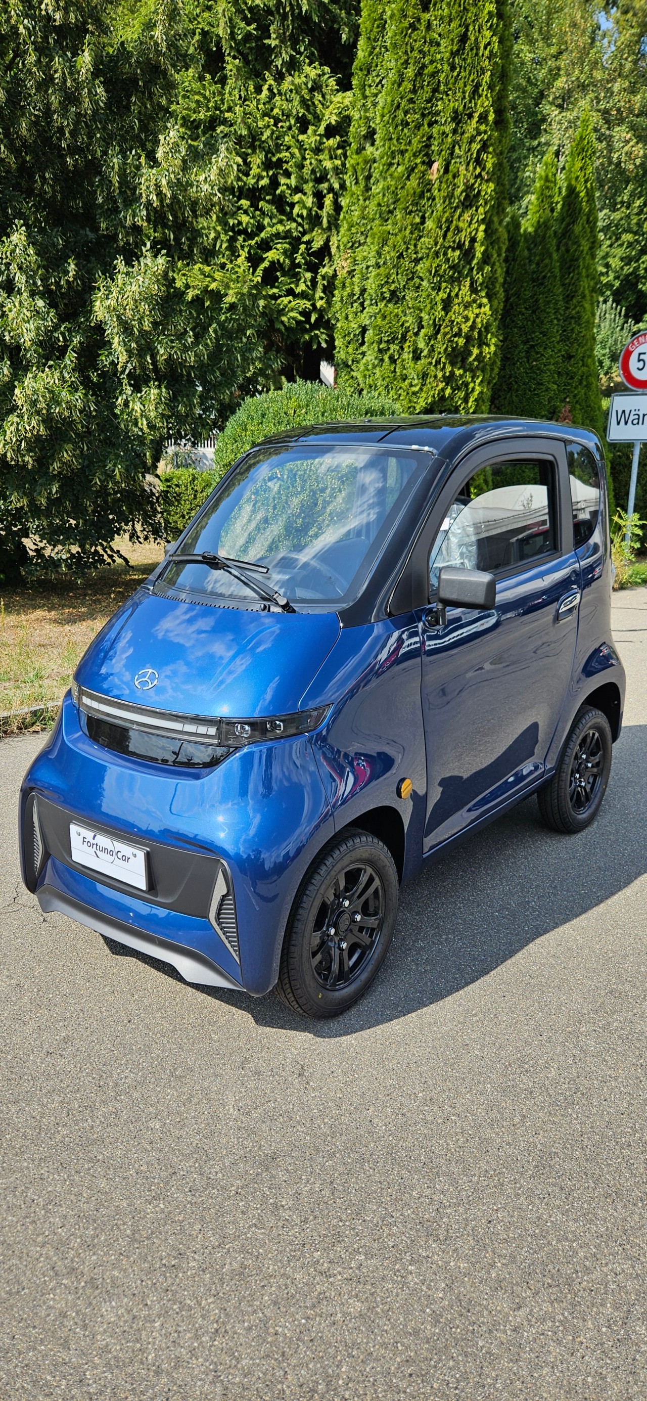 FULU Micar T1 !!Führerscheinbefreit bis 20kmh!! (Mit Lithium-Batterien!)-image-1