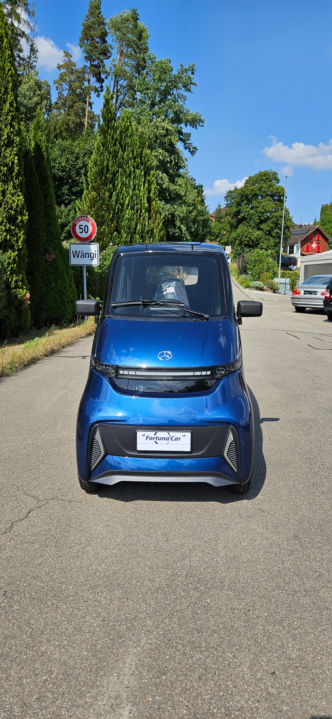 FULU Micar T1 !!Führerscheinbefreit bis 20kmh!! (Mit Lithium-Batterien!)-image-0