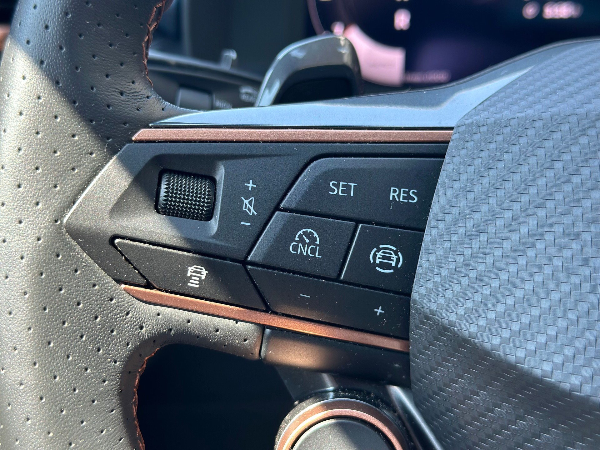 CUPRA Terramar 2.0 TSI DSG 4Drive-image-10