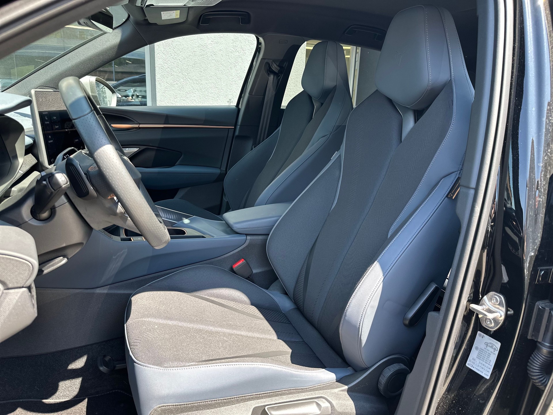 CUPRA Terramar 2.0 TSI DSG 4Drive-image-4