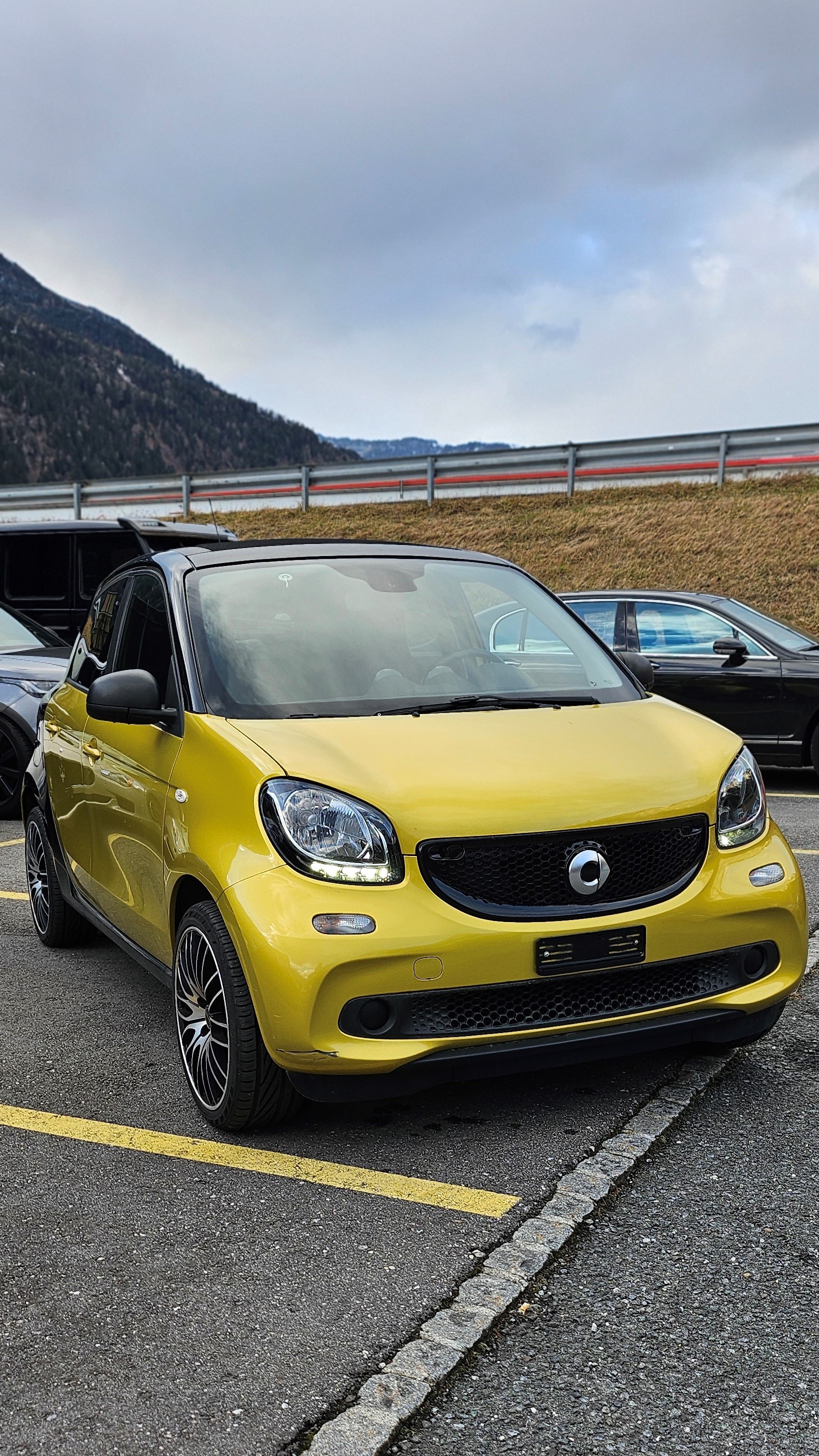 SMART forfour twinamic-image-2