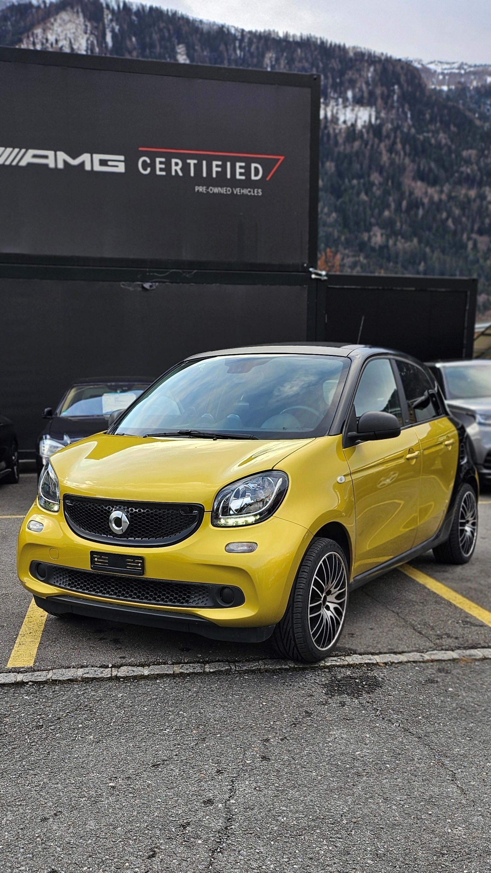 SMART forfour twinamic-image-0