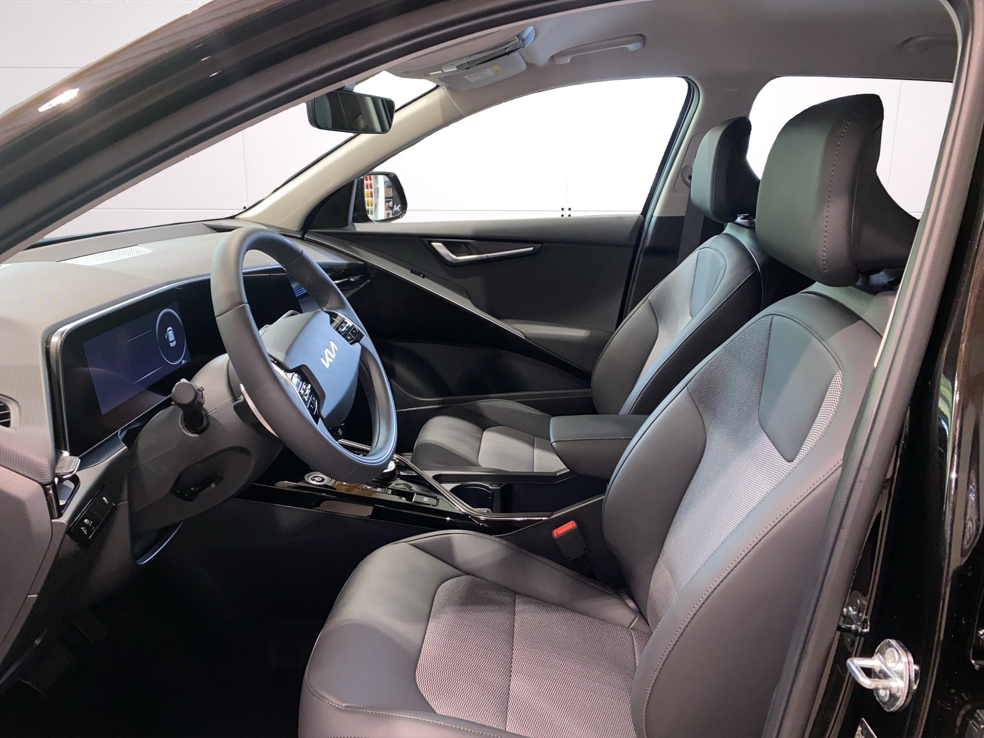 KIA Niro EV 64,8 kWh Power Edition-image-7