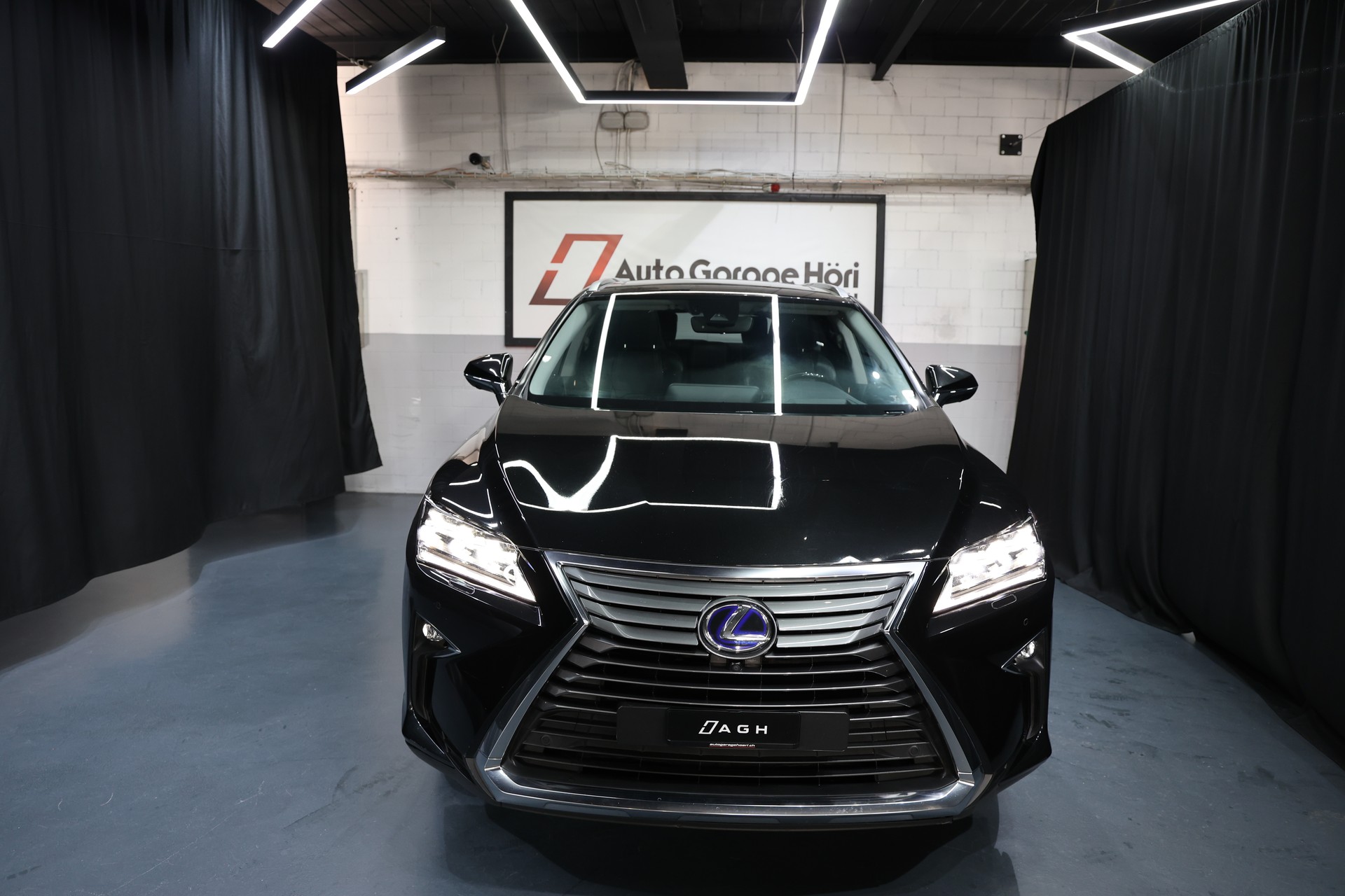 LEXUS RX 450h L excellence AWD CVT-image-4