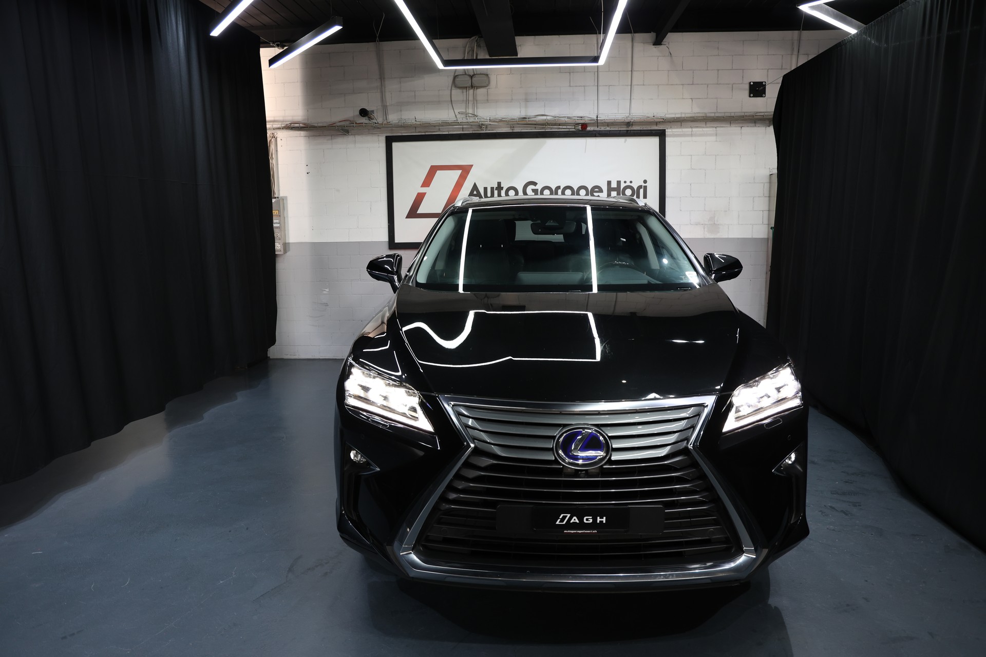 LEXUS RX 450h L excellence AWD CVT-image-10