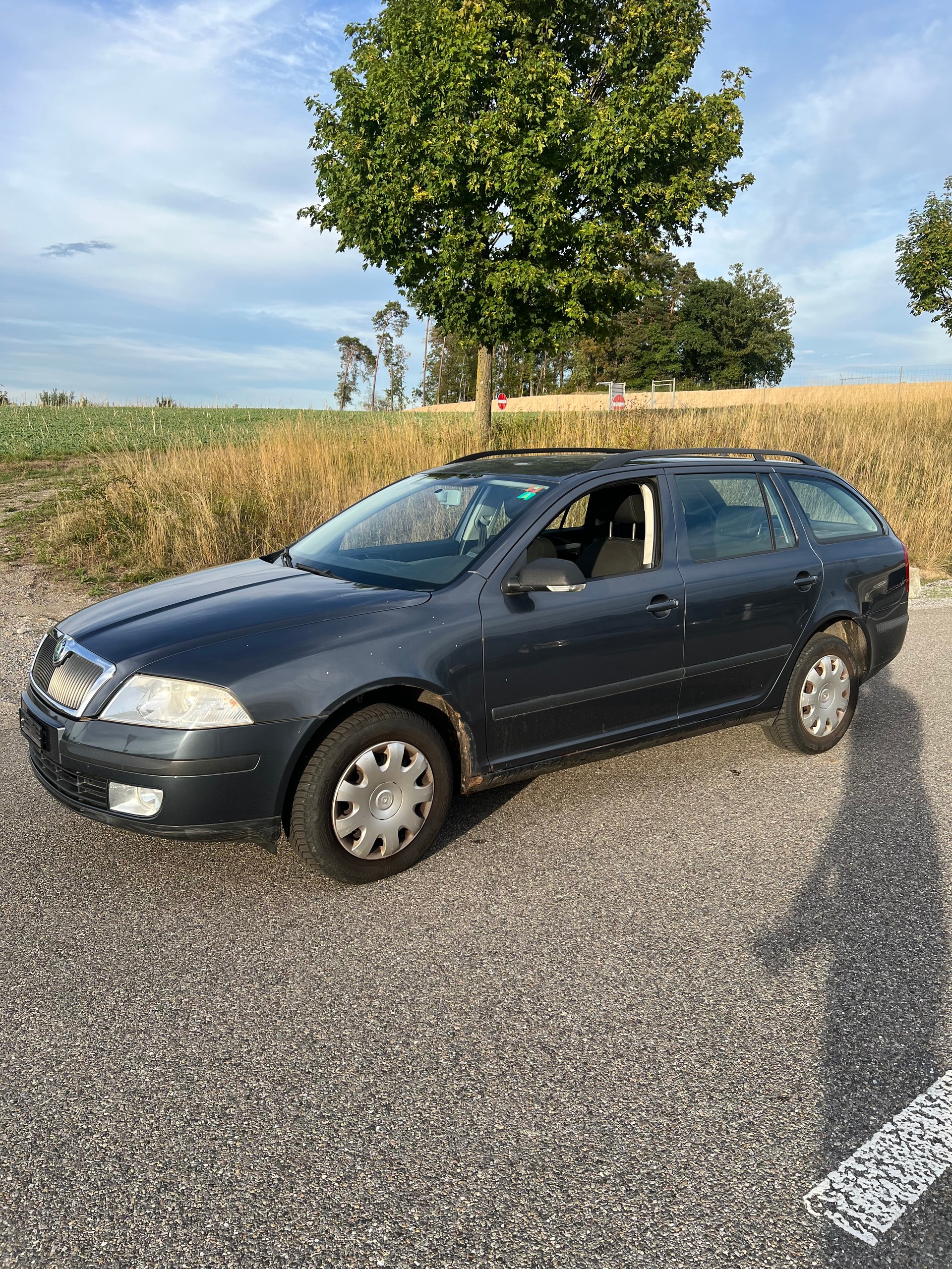 SKODA Octavia 1.9 TDI Adventure 4x4-image-8