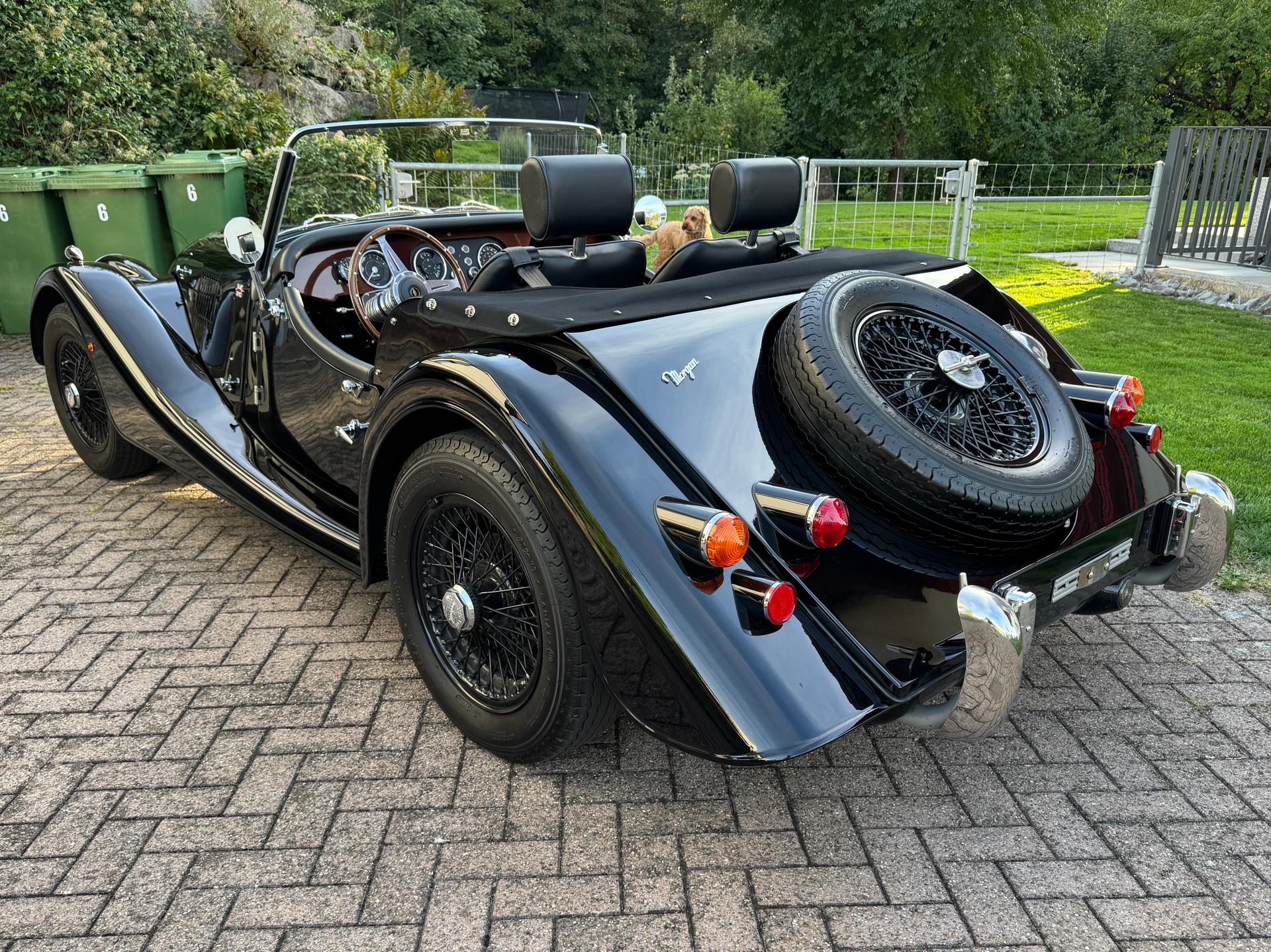 MORGAN 4/4 75th Anniversary-image-2
