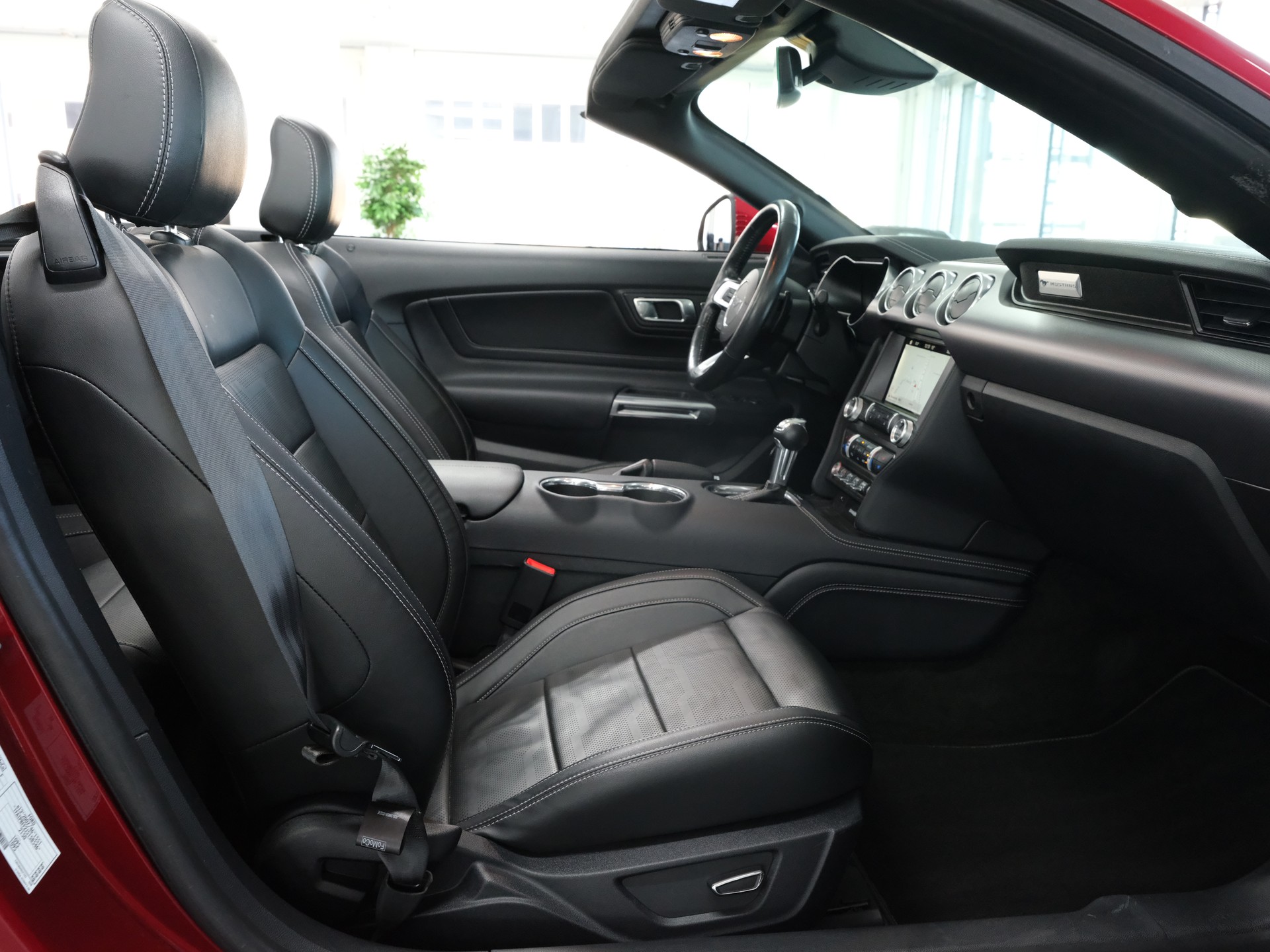FORD Mustang Convertible 5.0 V8 GT Automat-image-23