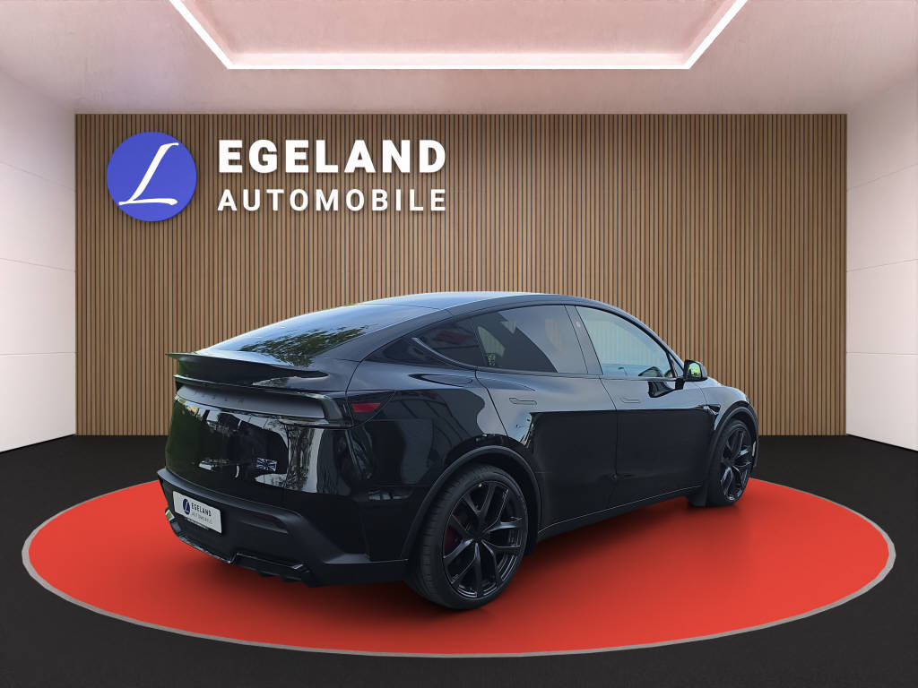 TESLA Model Y Performance AWD-showroom-element-3