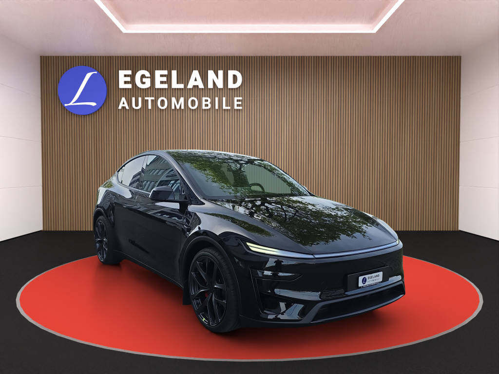 TESLA Model Y Performance AWD-showroom-element-1