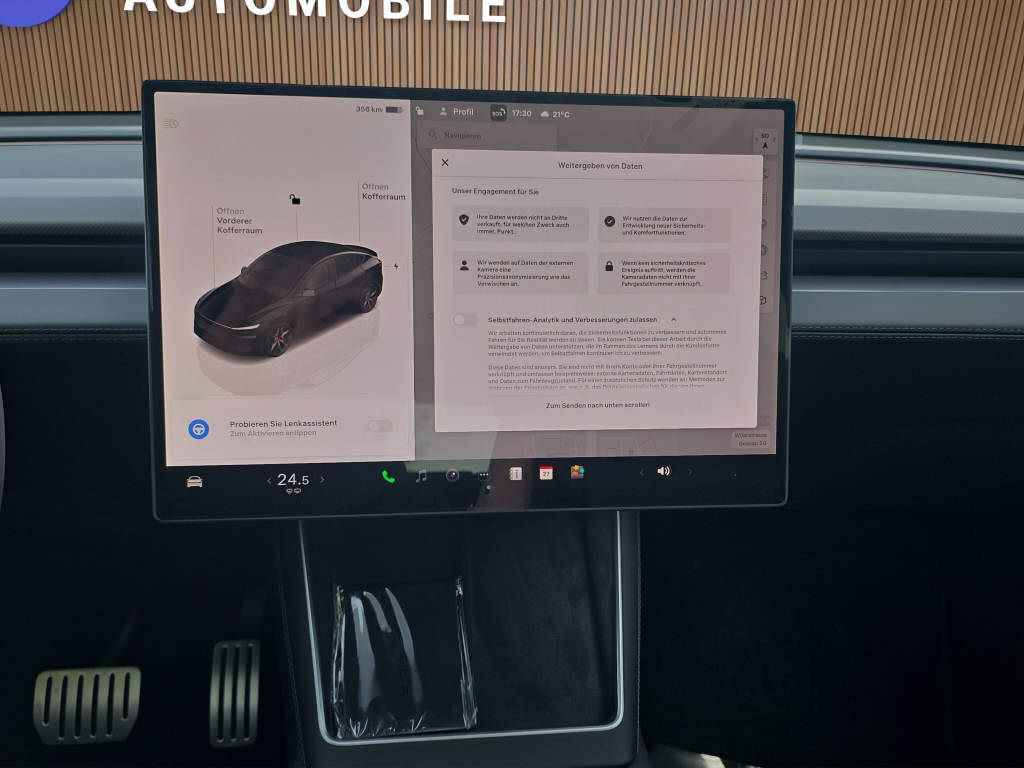 TESLA Model Y Performance AWD-image-16