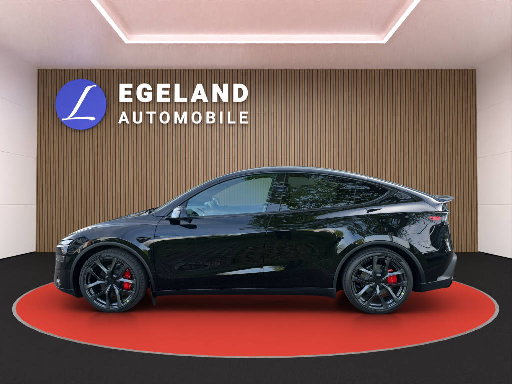 TESLA Model Y Performance AWD-image-6