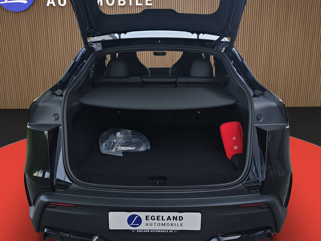 TESLA Model Y Performance AWD-image-14