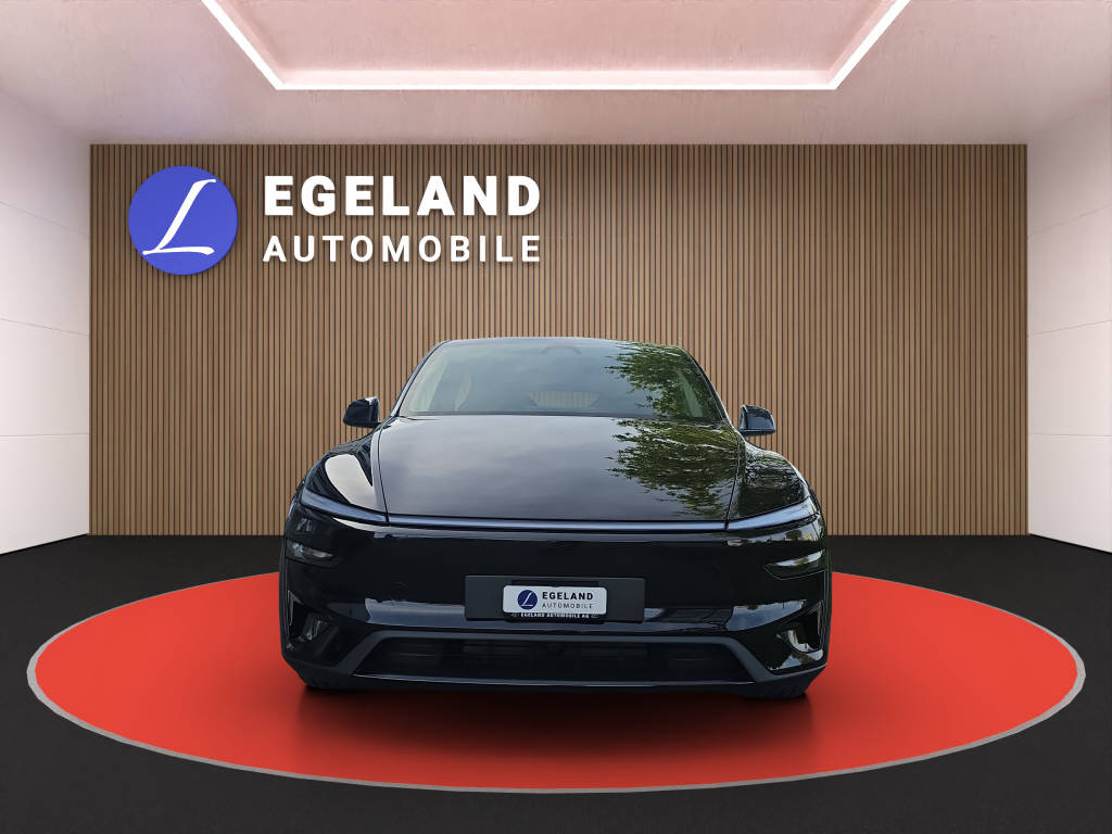 TESLA Model Y Performance AWD-showroom-element-2
