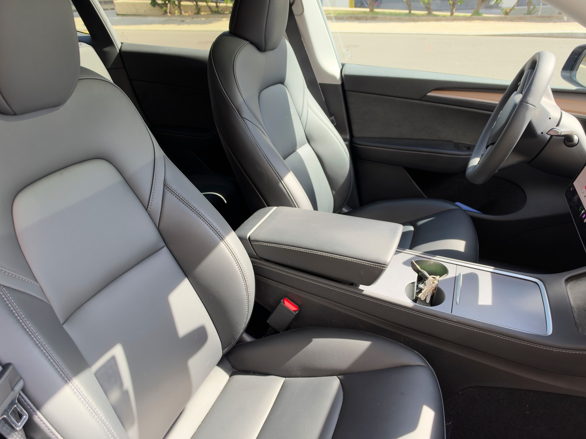 TESLA Long Range D-image-1