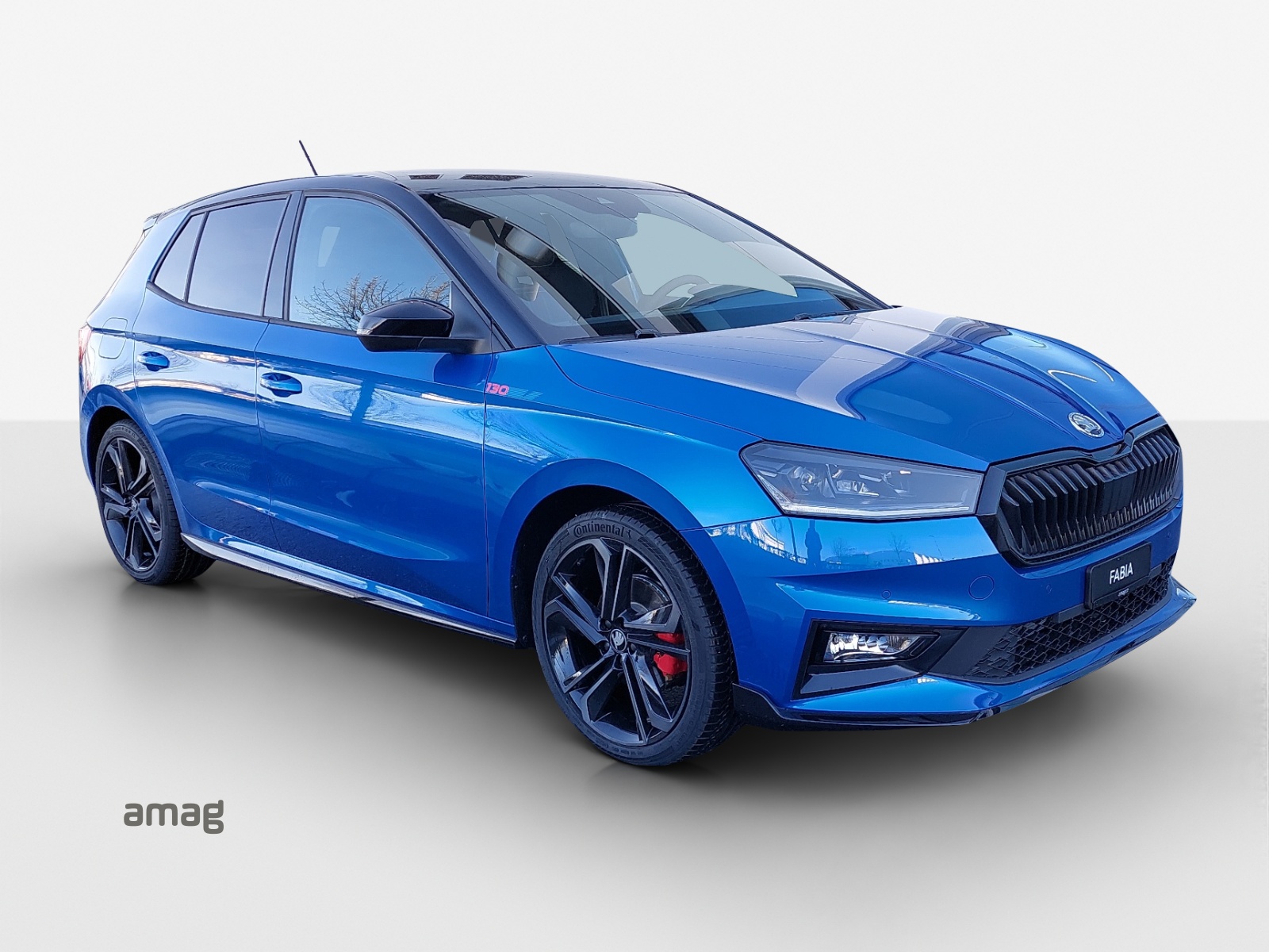 SKODA Fabia 1.5 TSI 130 DSG-image-5