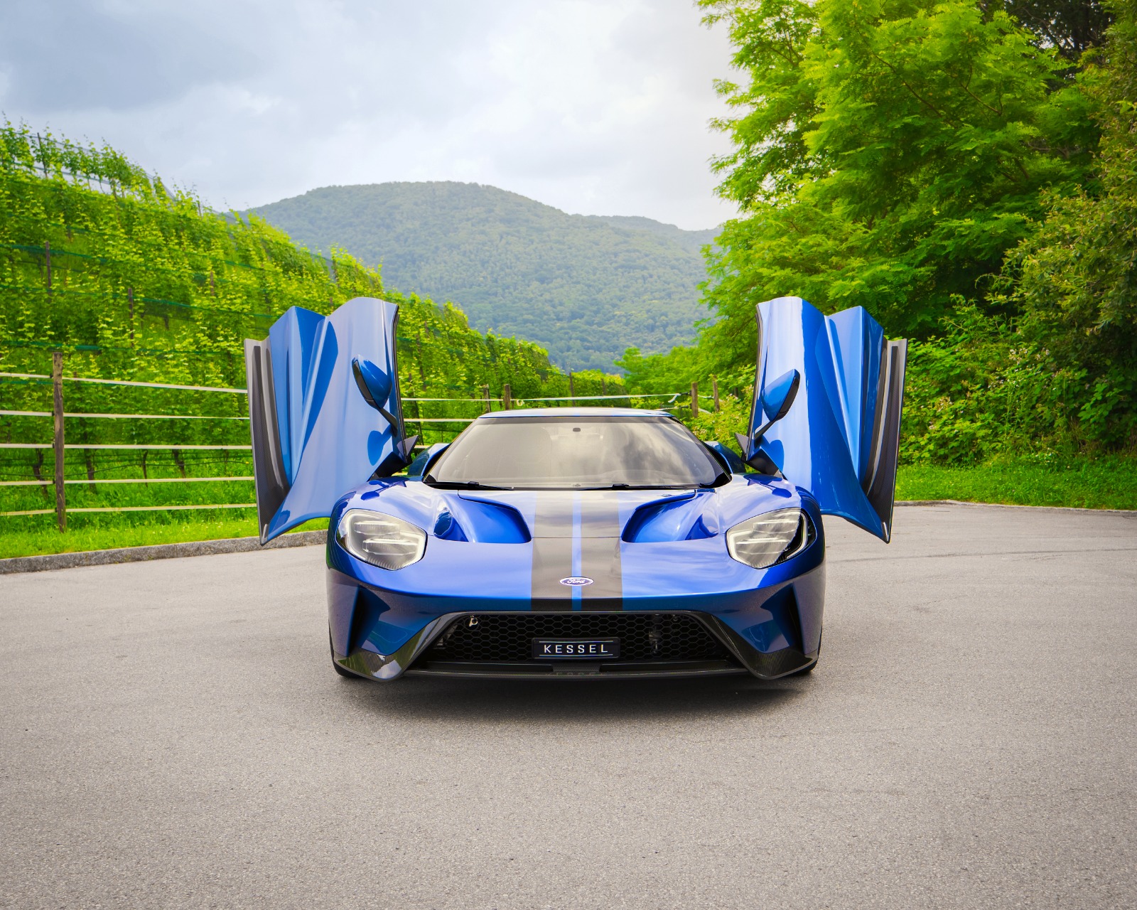 FORD GT