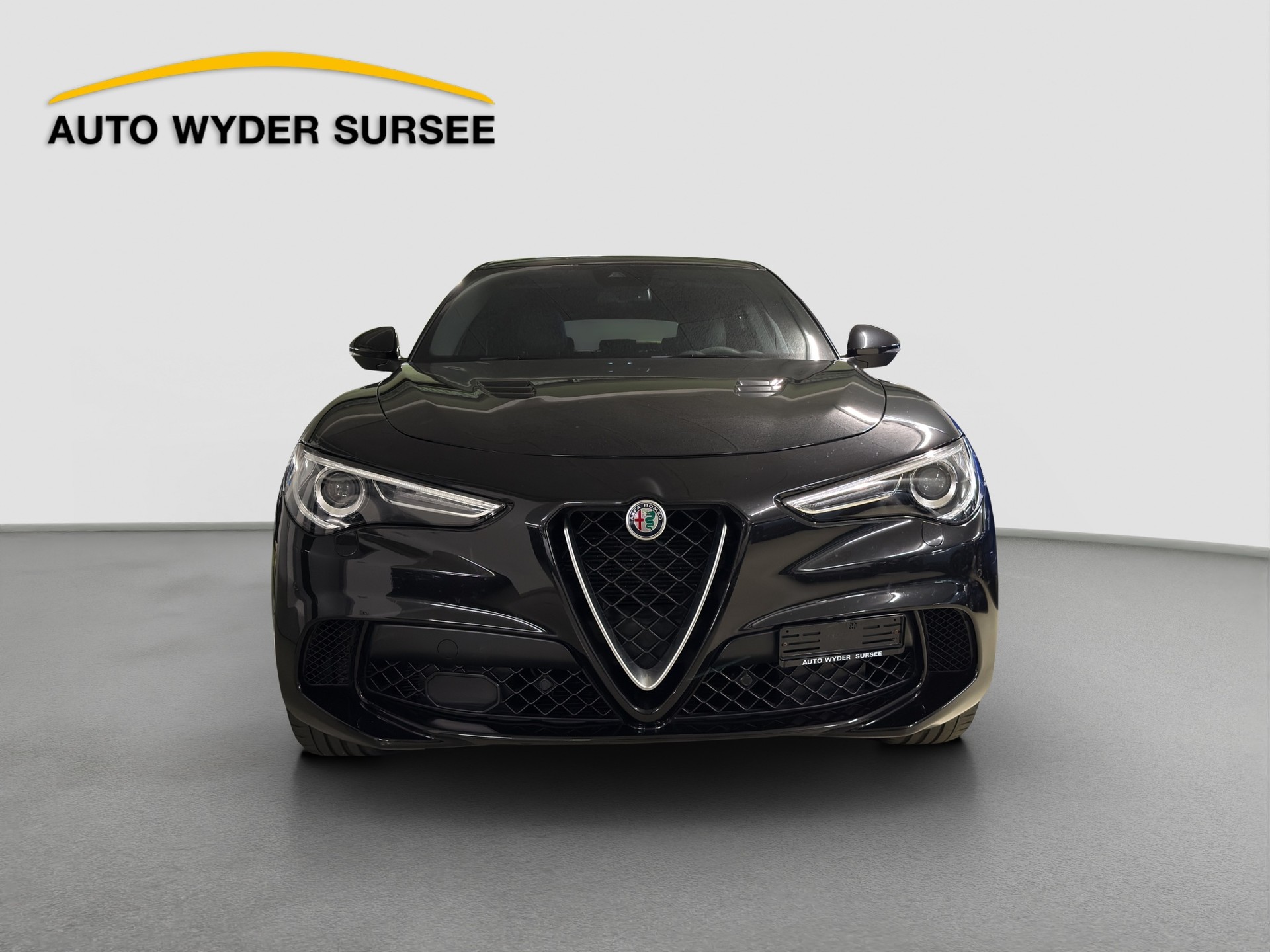 ALFA ROMEO Stelvio 2.9 V6 Biturbo Q4 Quadrifoglio-image-1