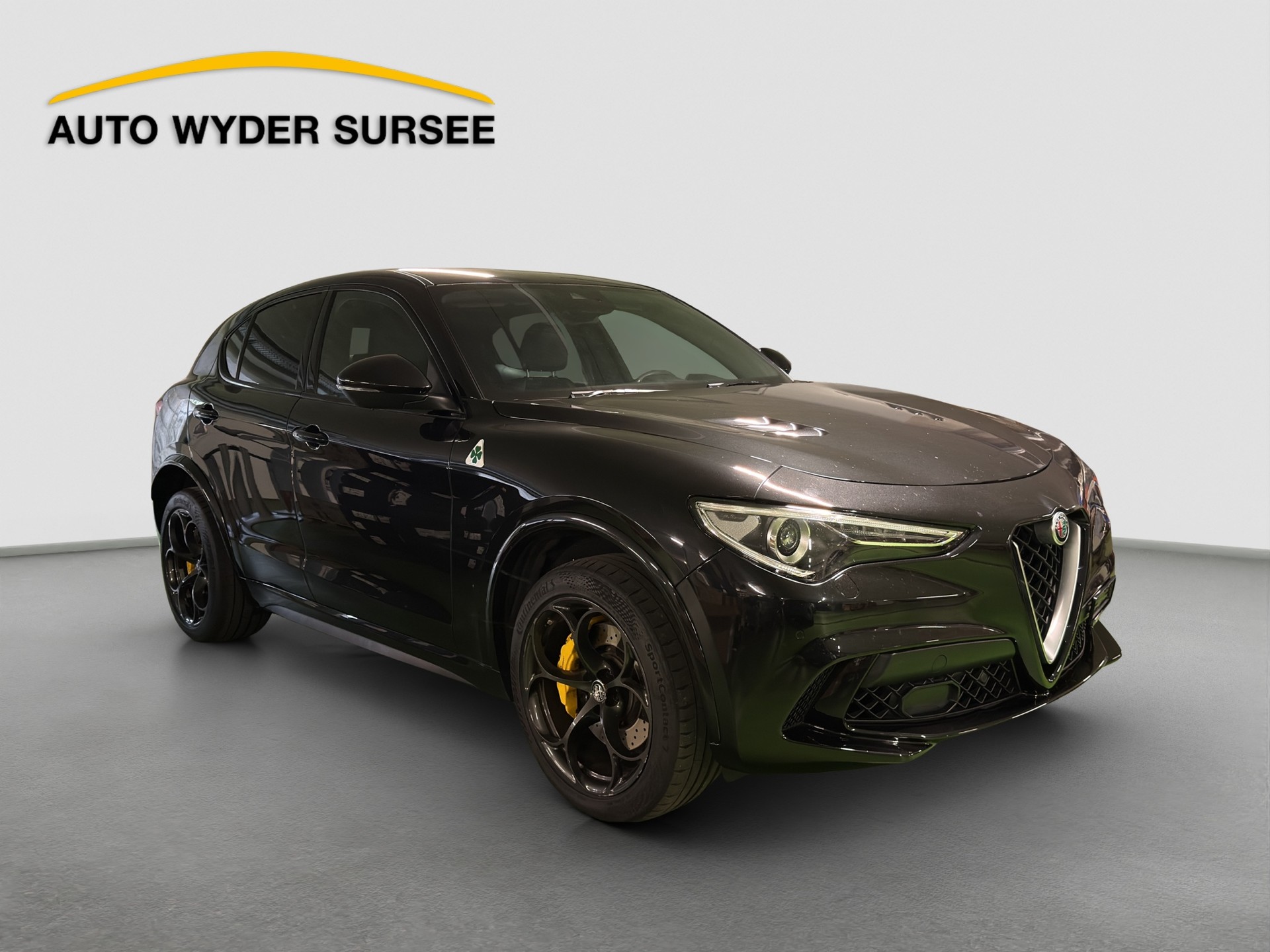 ALFA ROMEO Stelvio 2.9 V6 Biturbo Q4 Quadrifoglio-image-7