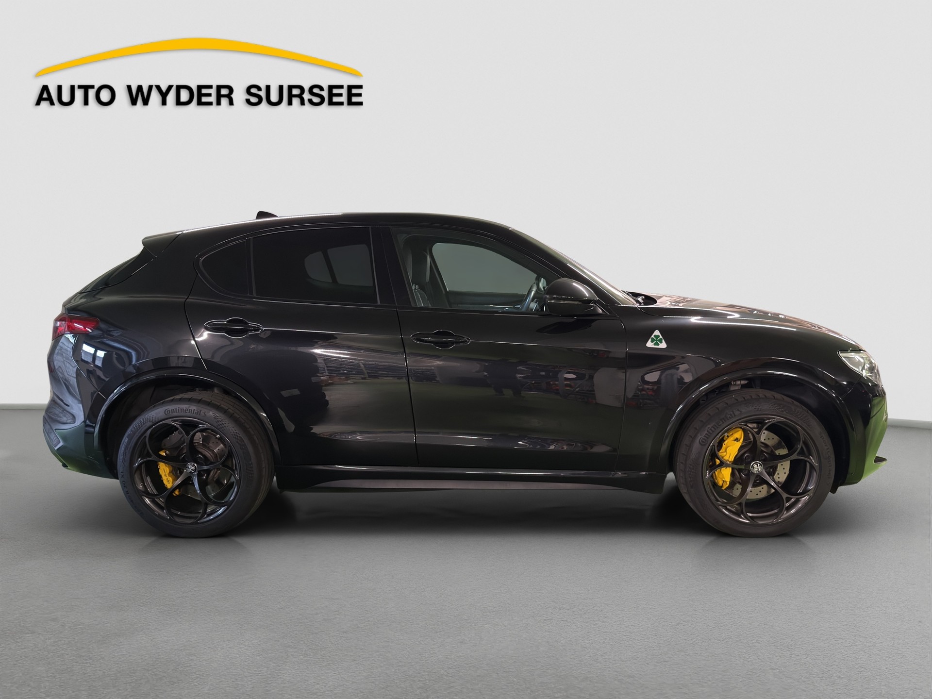 ALFA ROMEO Stelvio 2.9 V6 Biturbo Q4 Quadrifoglio-image-6