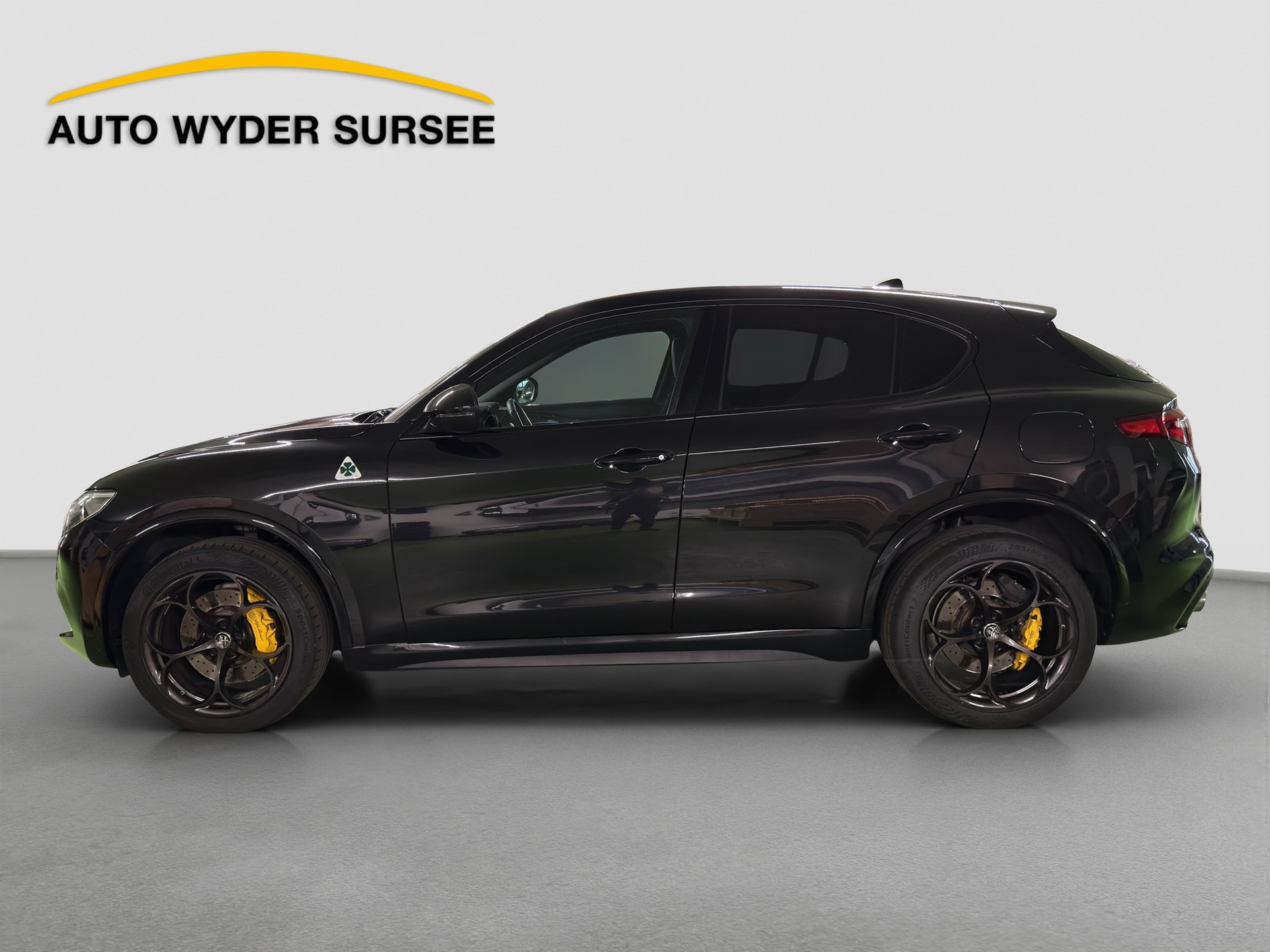 ALFA ROMEO Stelvio 2.9 V6 Biturbo Q4 Quadrifoglio-image-2