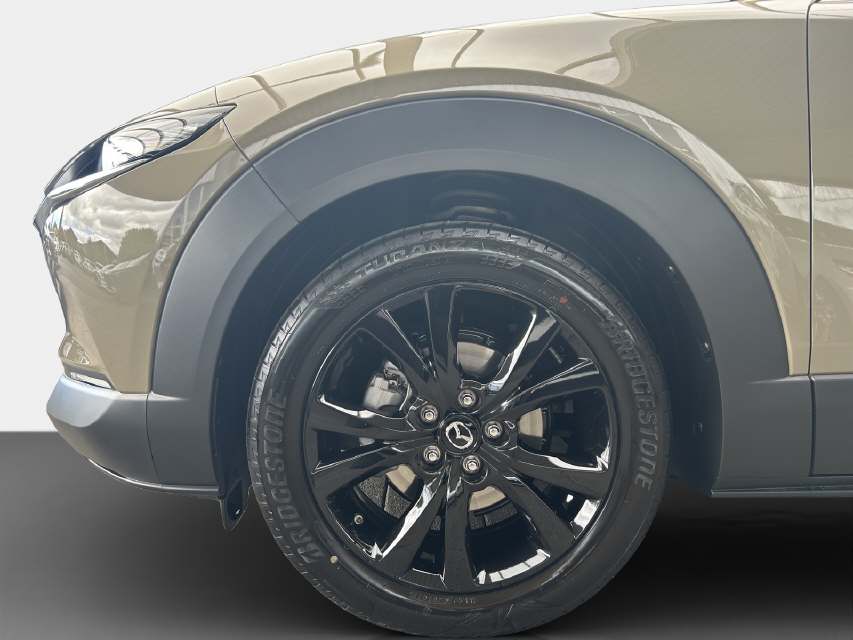 MAZDA CX-30 2.5/140 Homura-image-8