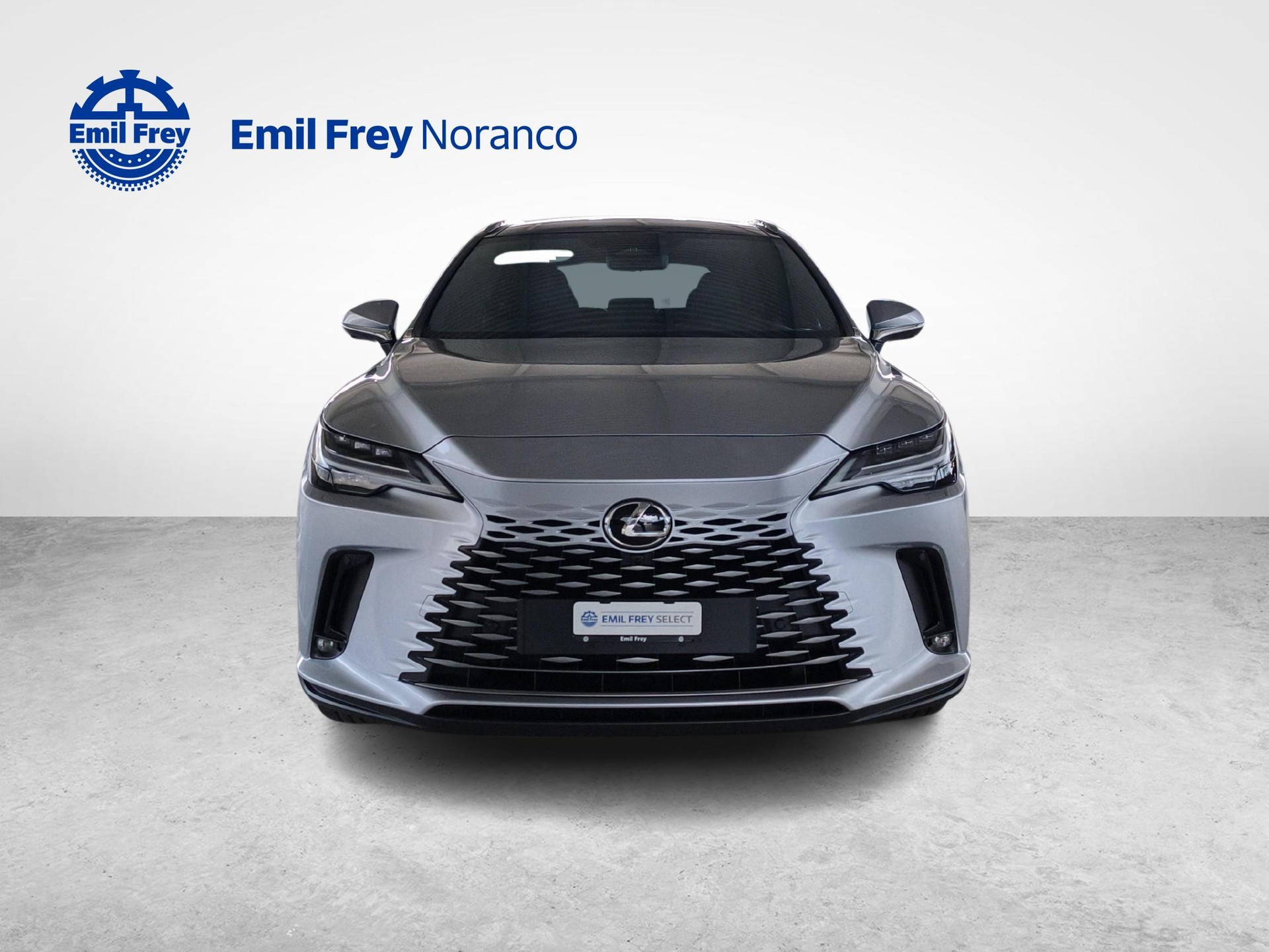LEXUS RX 450h+ Excellence - Servizi & Ruote invernali incluse-image-7