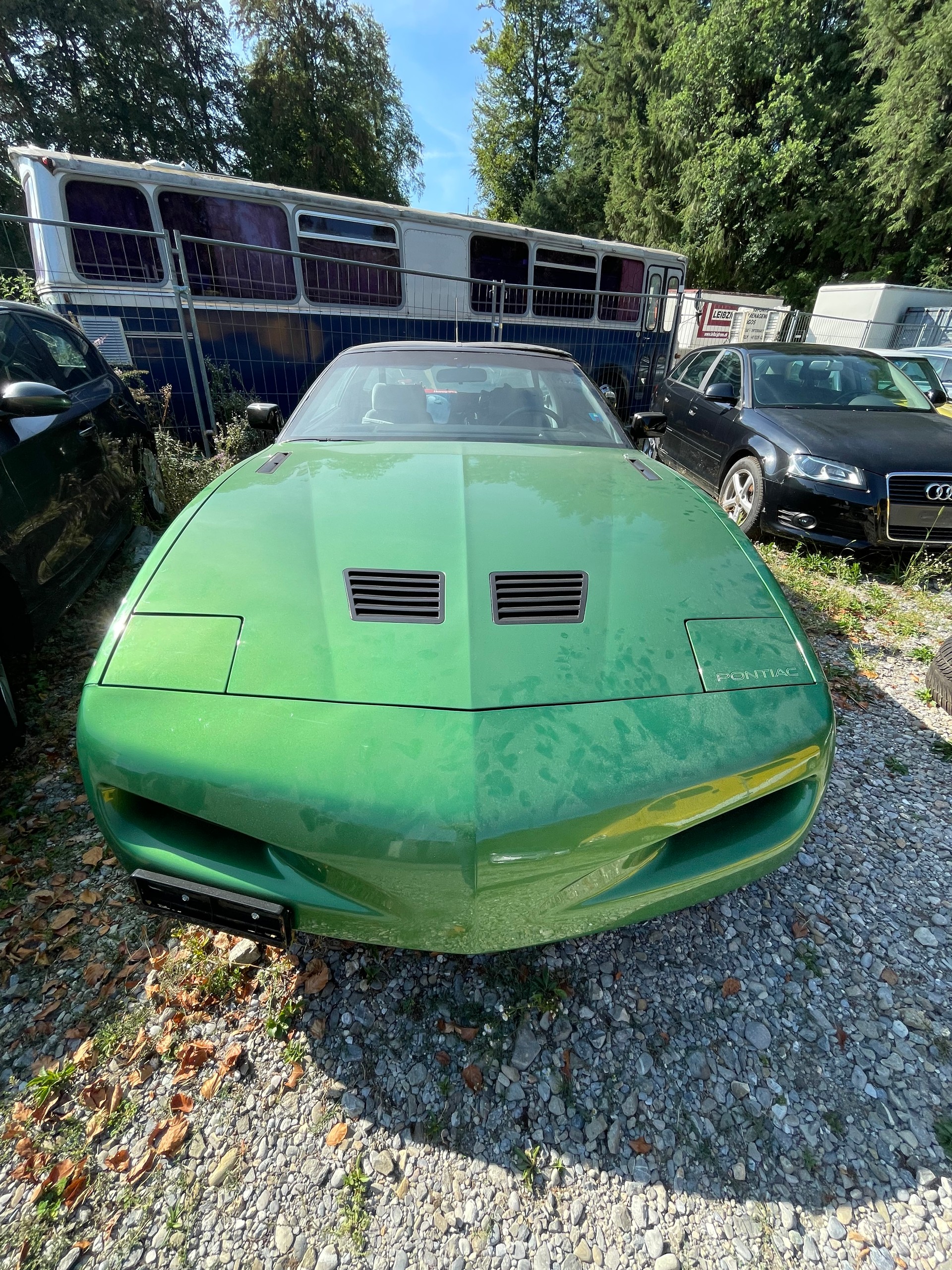 PONTIAC Firebird 5.0 V8-image-5