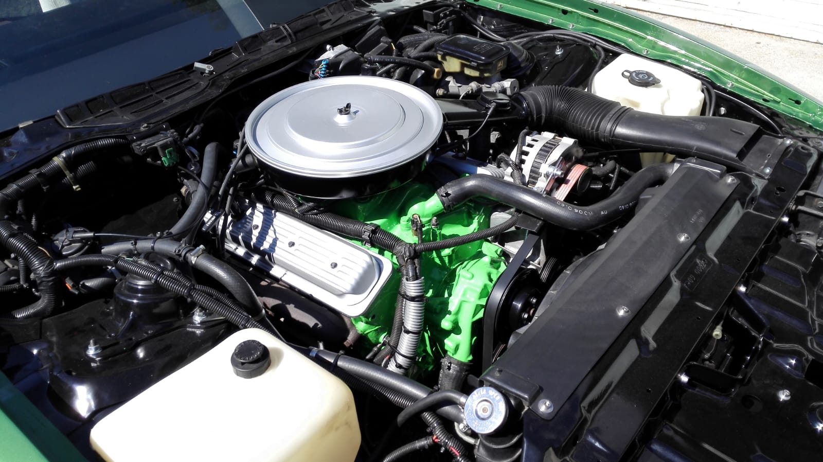 PONTIAC Firebird 5.0 V8-image-4