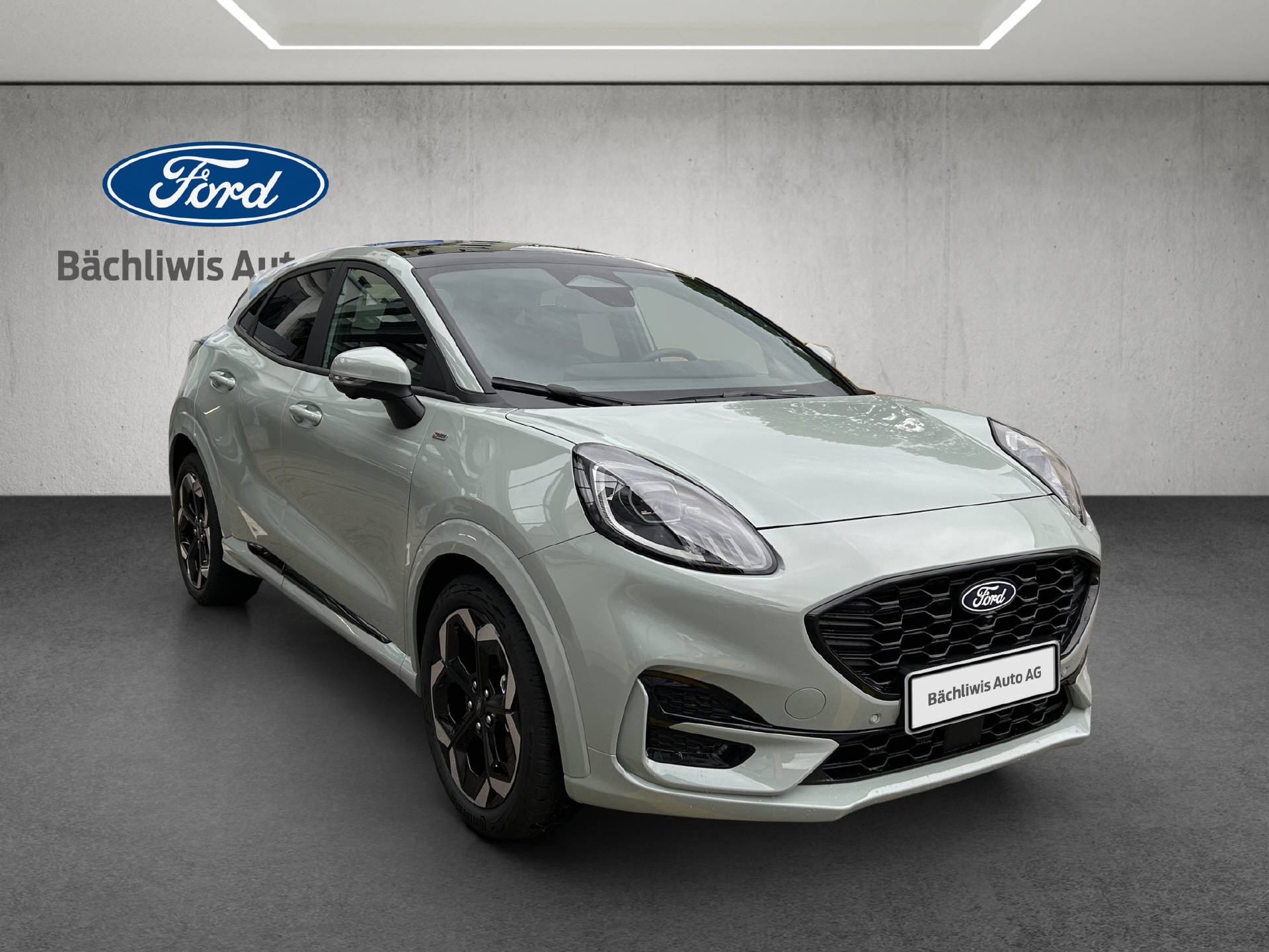 FORD Puma 1.0 EcoB Hybrid 155 ST-Line X-image-6