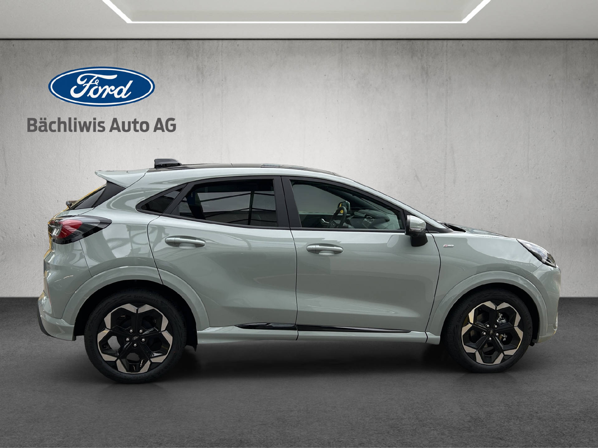 FORD Puma 1.0 EcoB Hybrid 155 ST-Line X-image-5