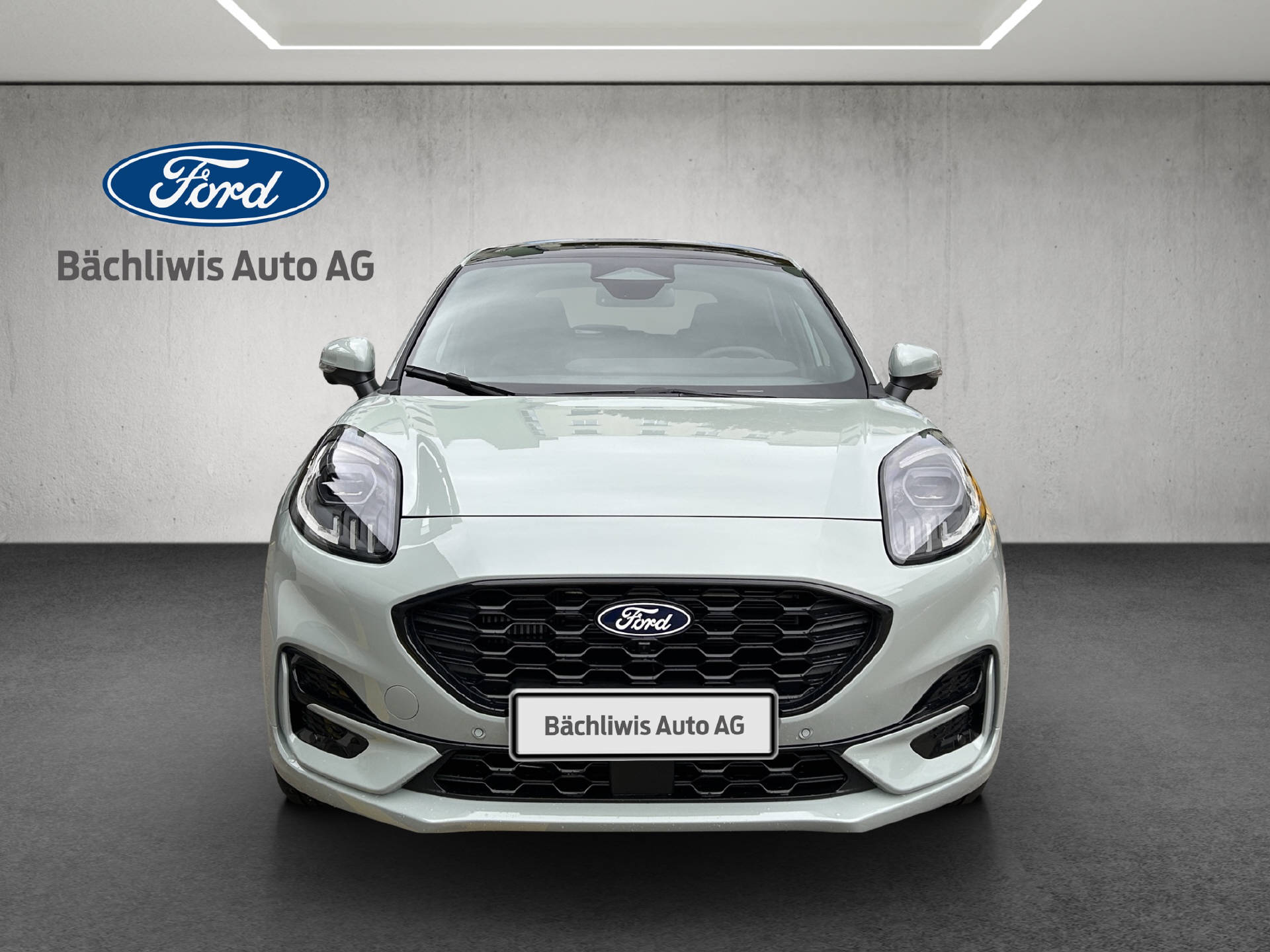 FORD Puma 1.0 EcoB Hybrid 155 ST-Line X-image-7