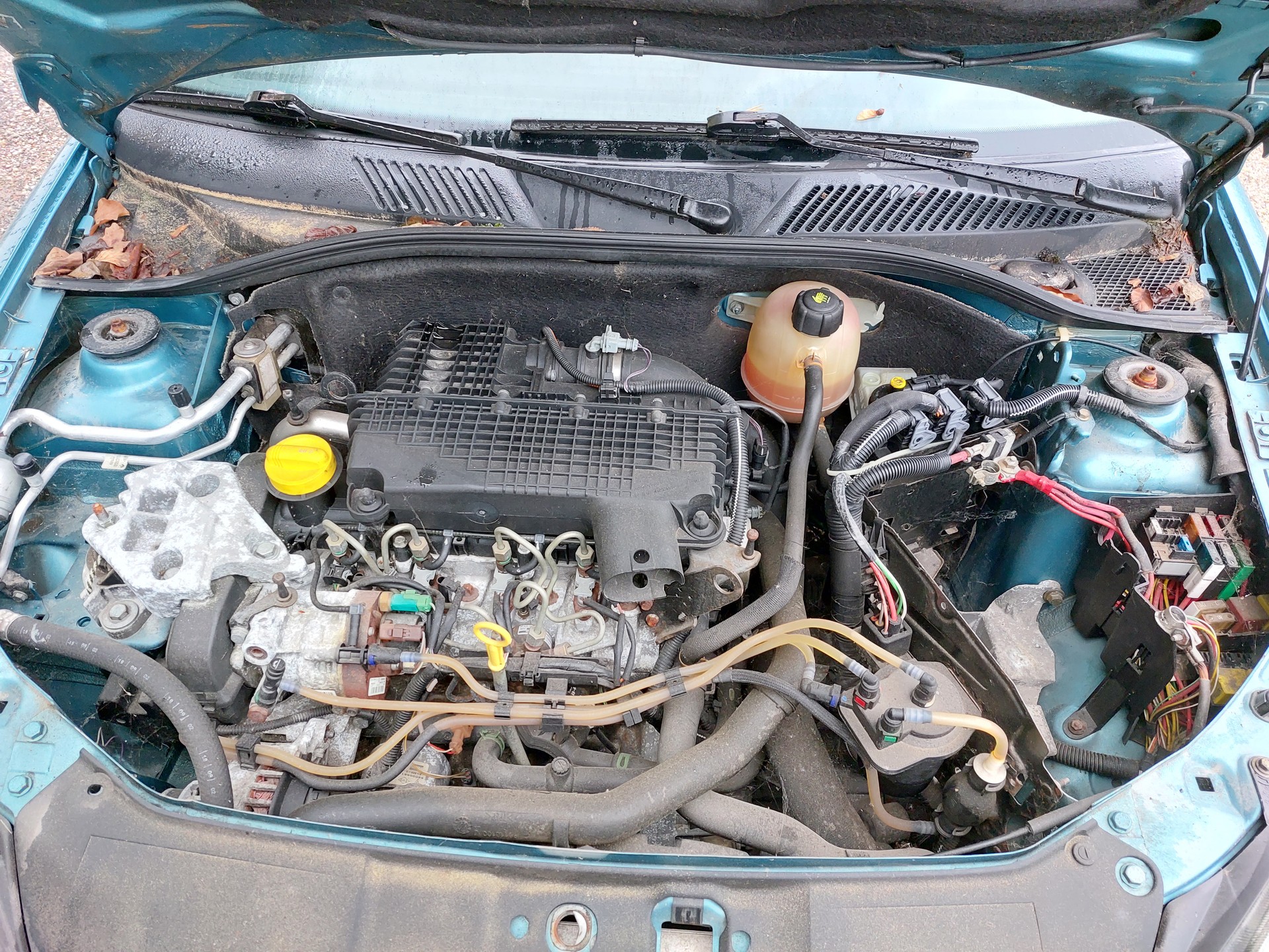 RENAULT Clio 1.5 dCi Extrême-image-13