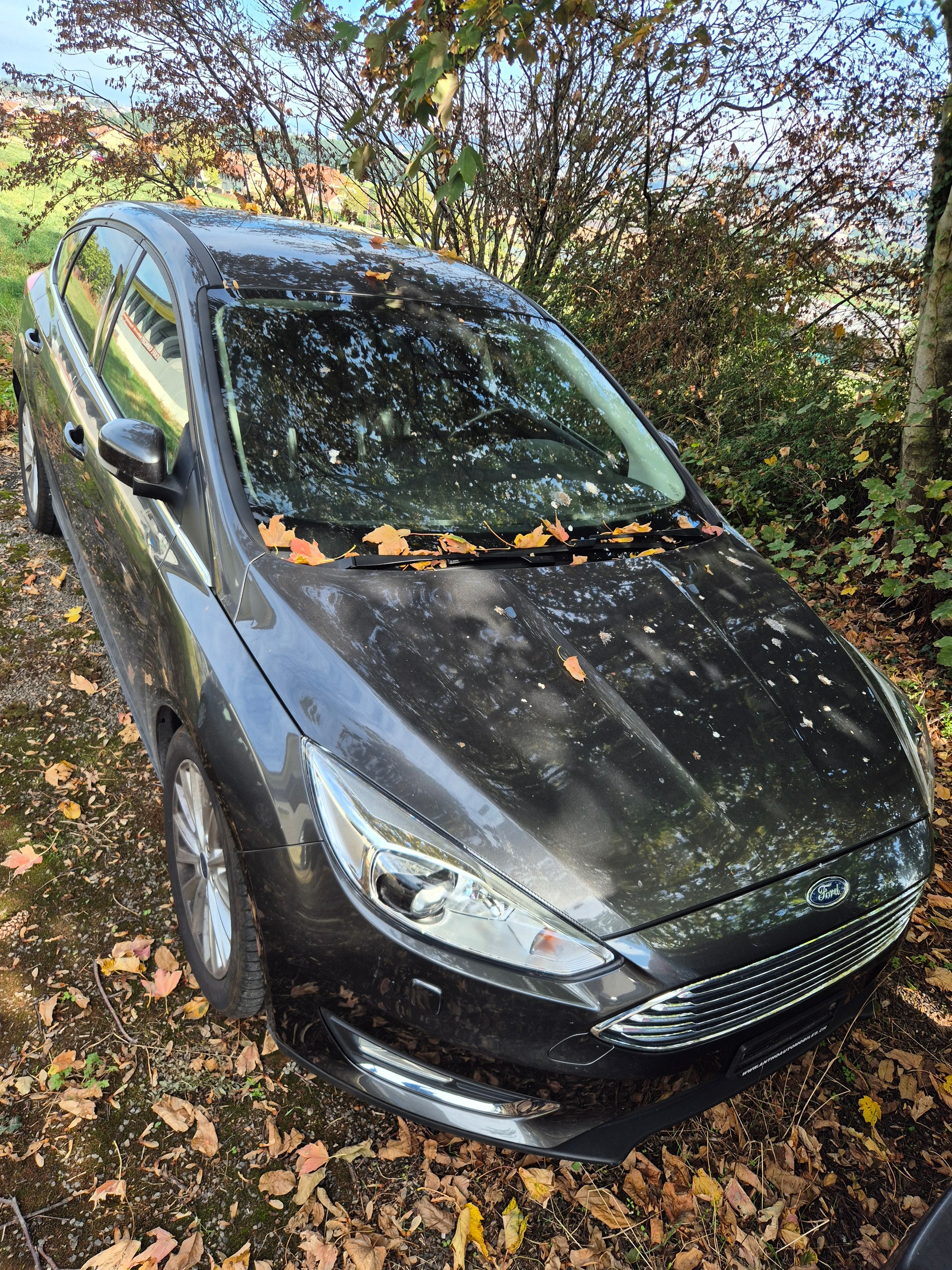 FORD Focus 1.5 SCTi Titanium Automatic-image-1